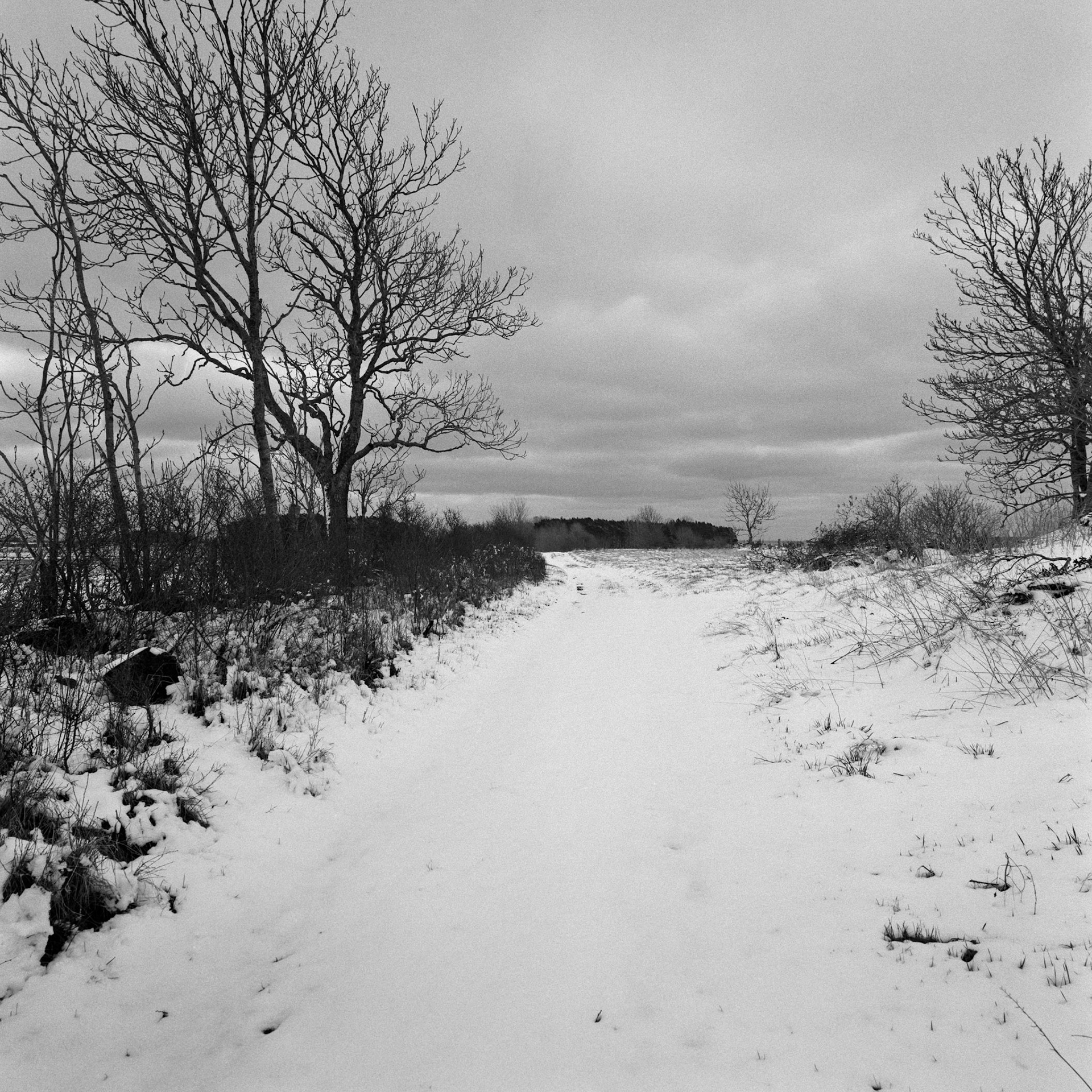 Norra Runsten sjögata