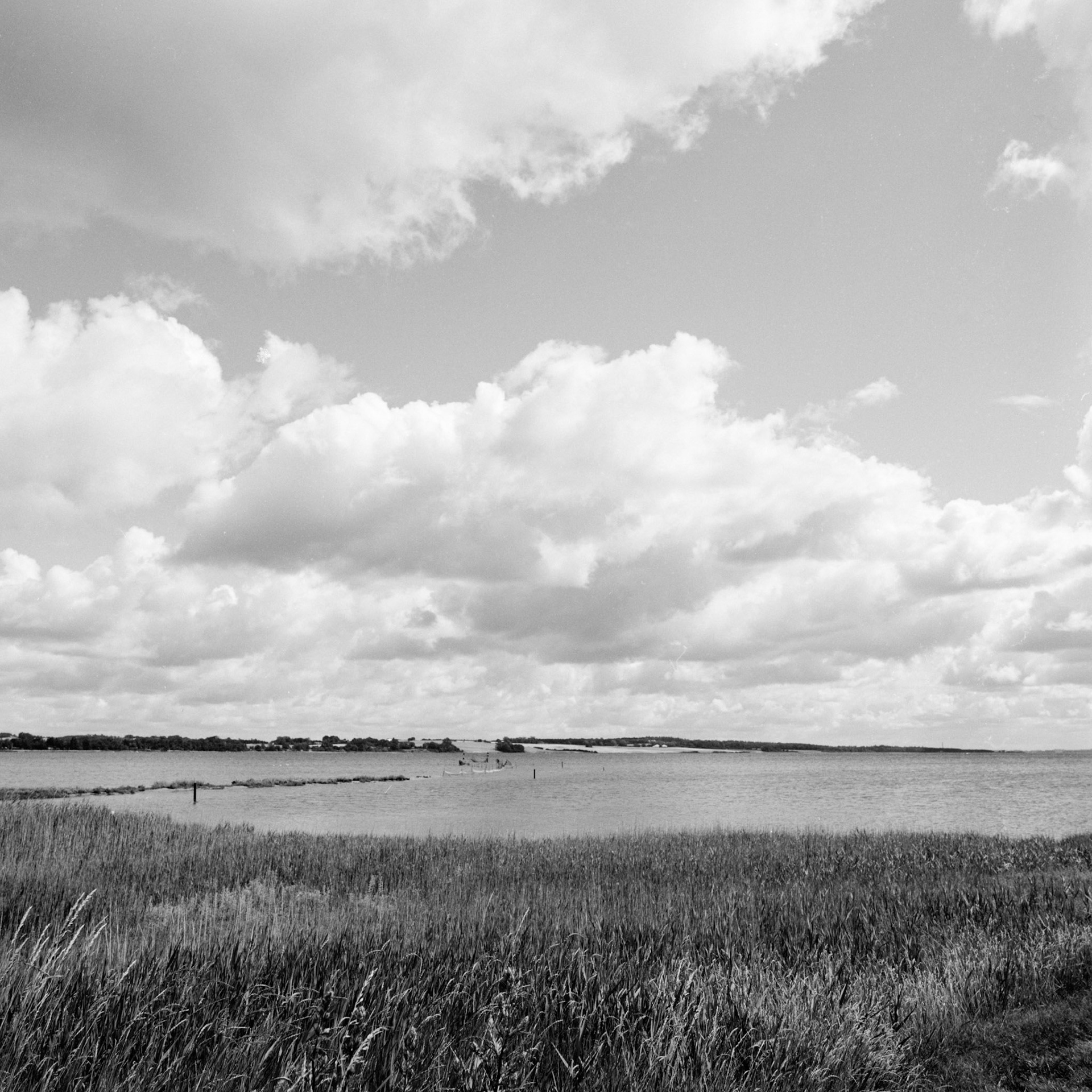 Sidinge dæmning