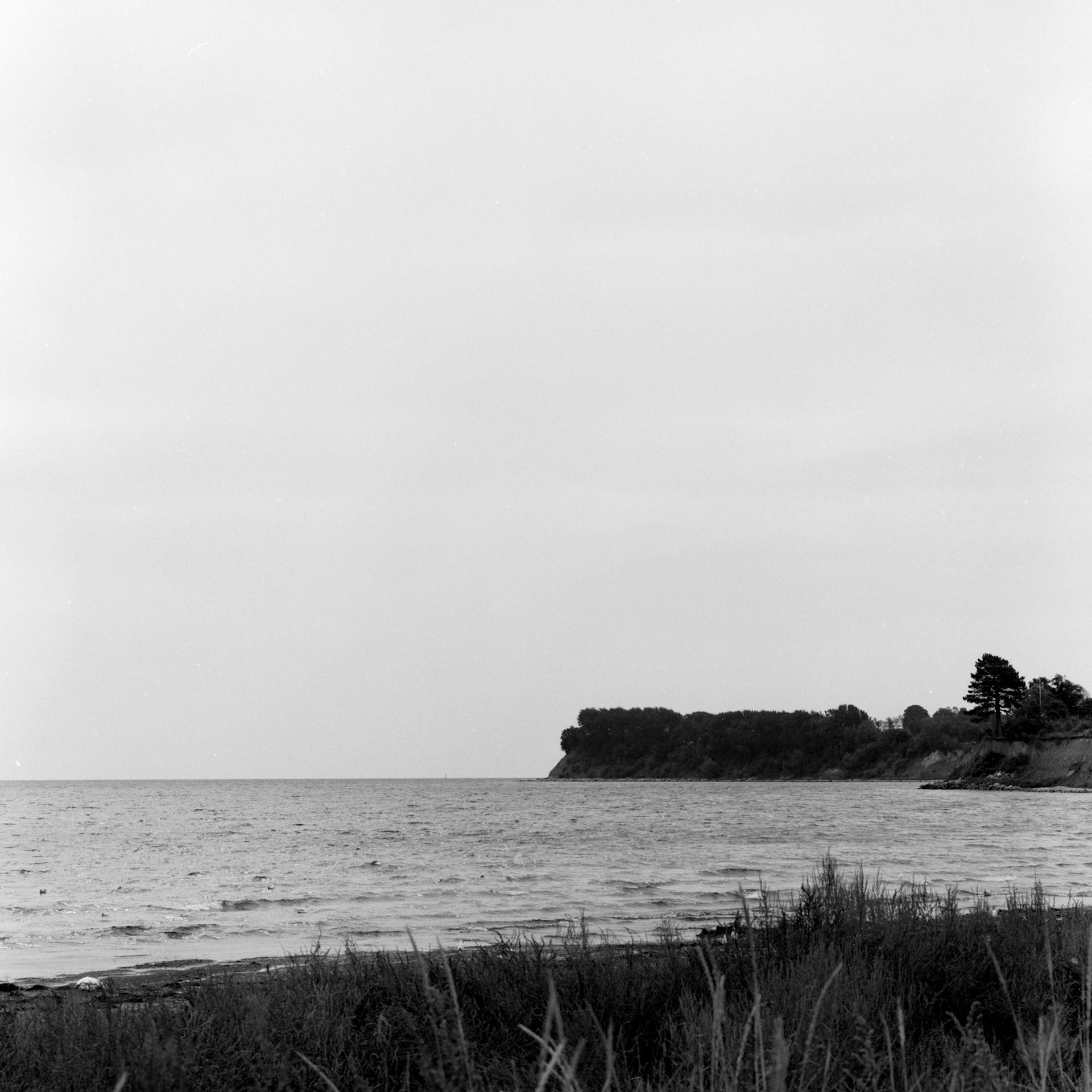 Bøgeskov havn
