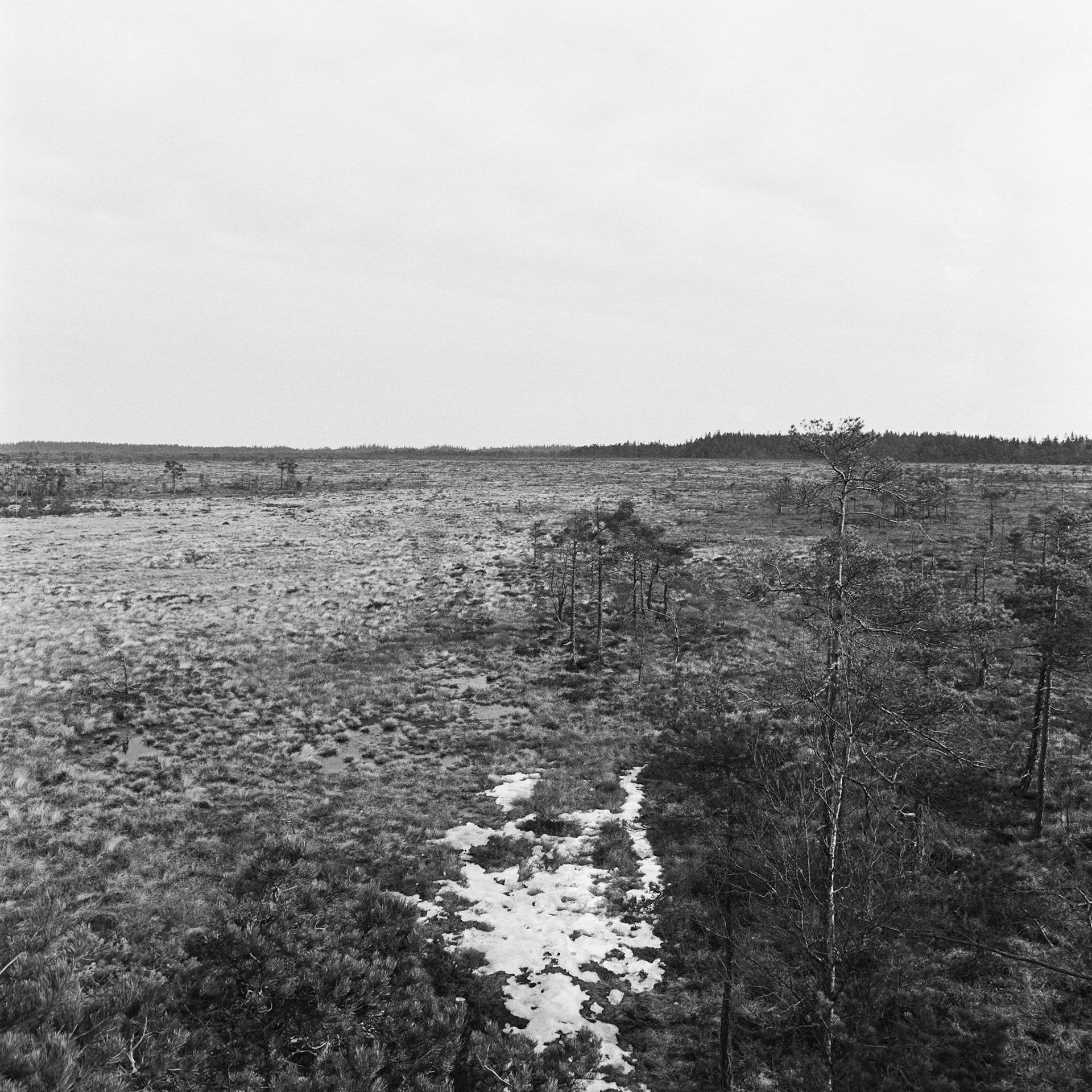 Blängsmossen