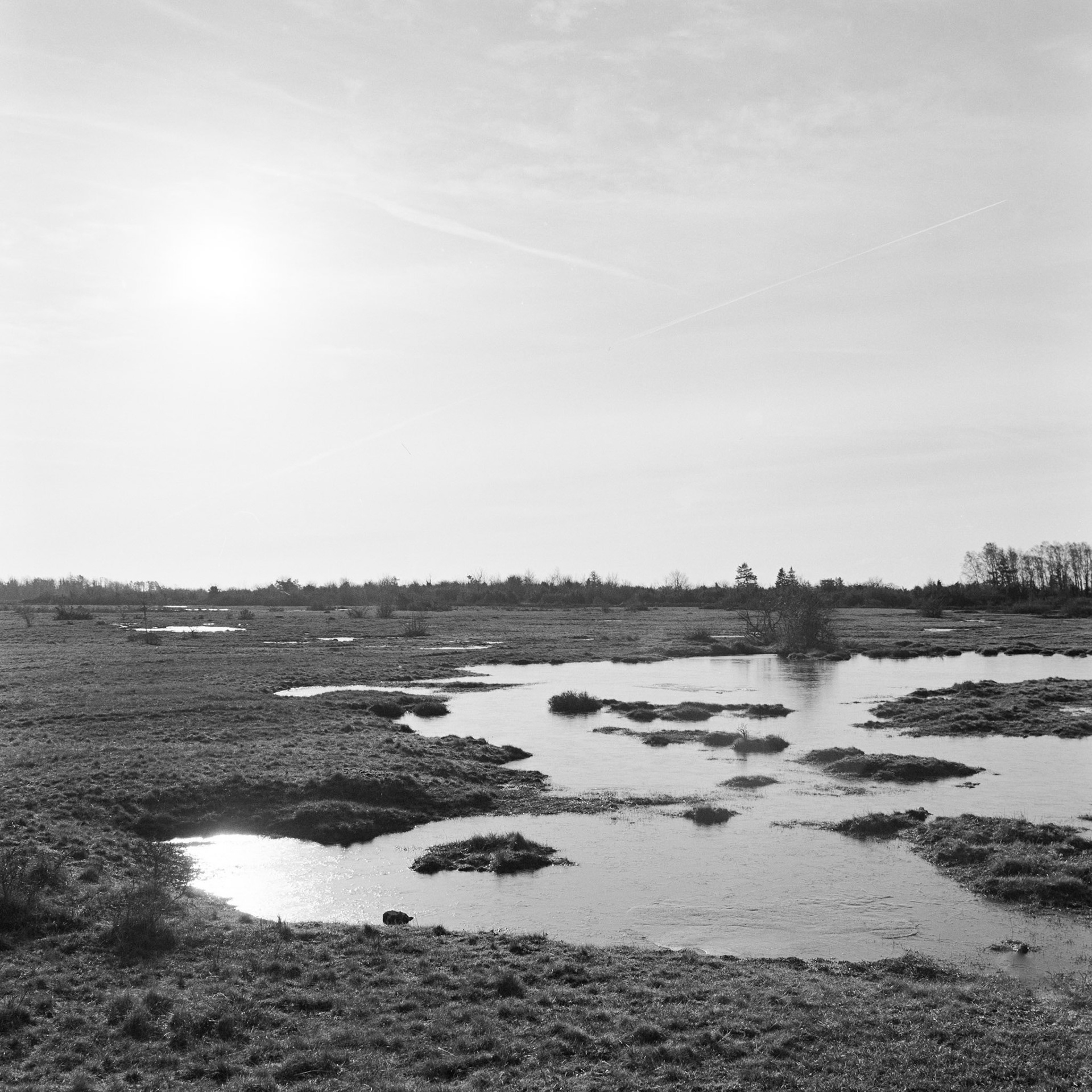 Kråketorp