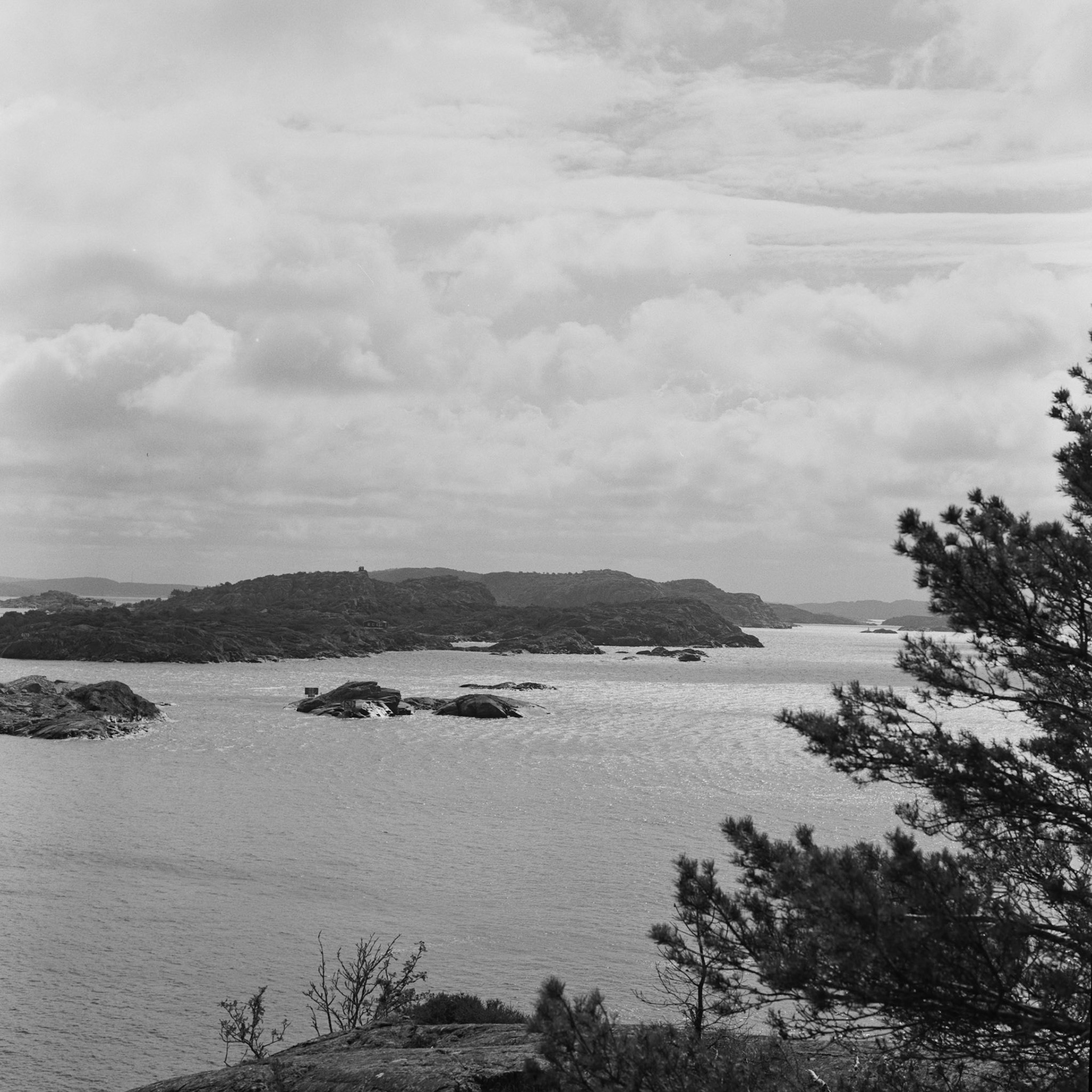 Dyrön