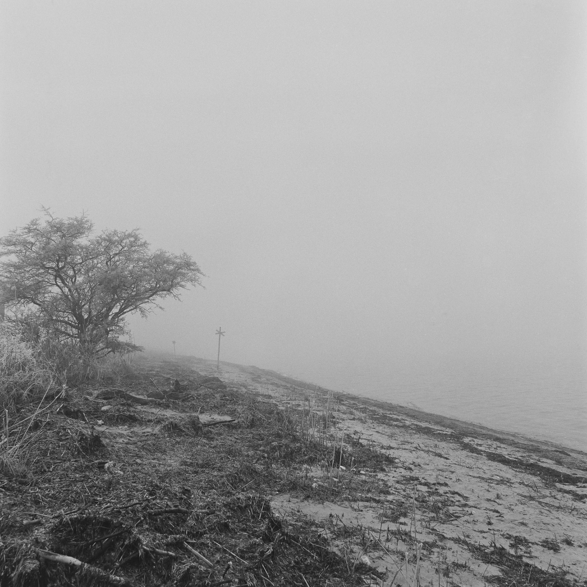 Roneklint