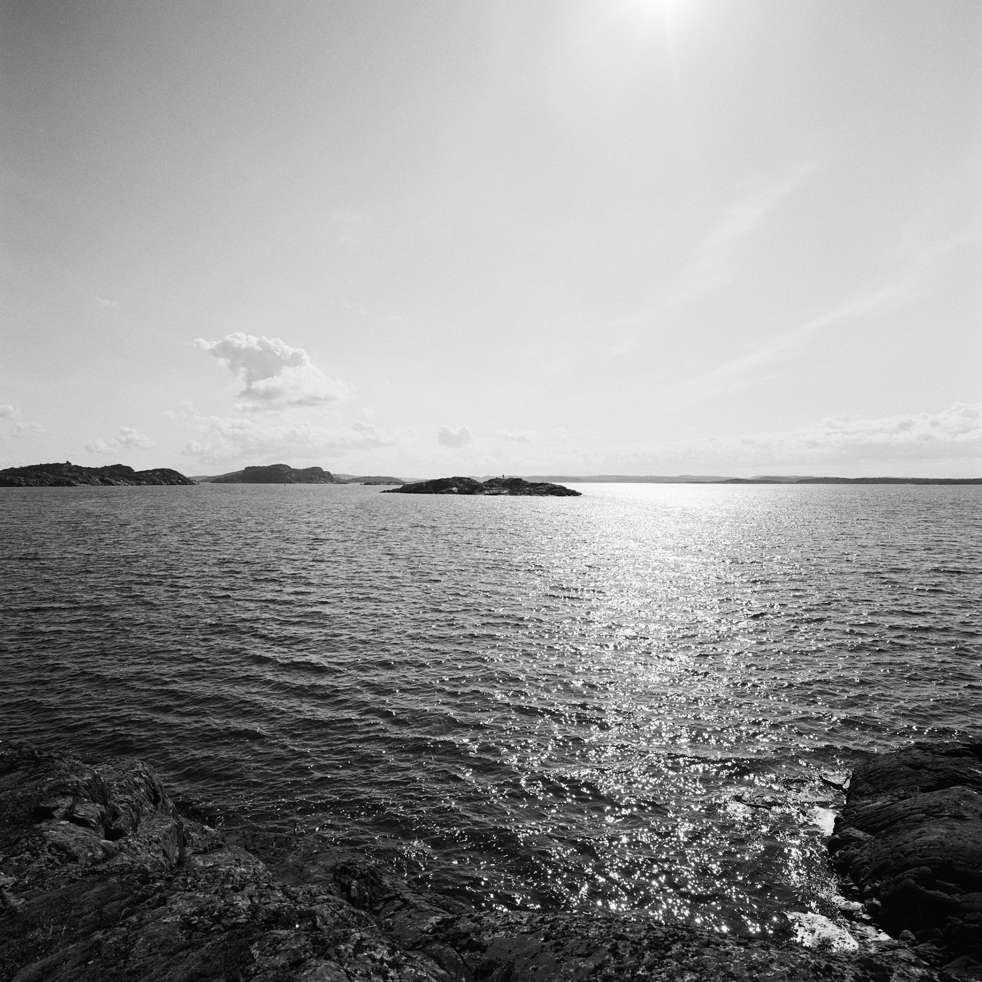 Dyrön