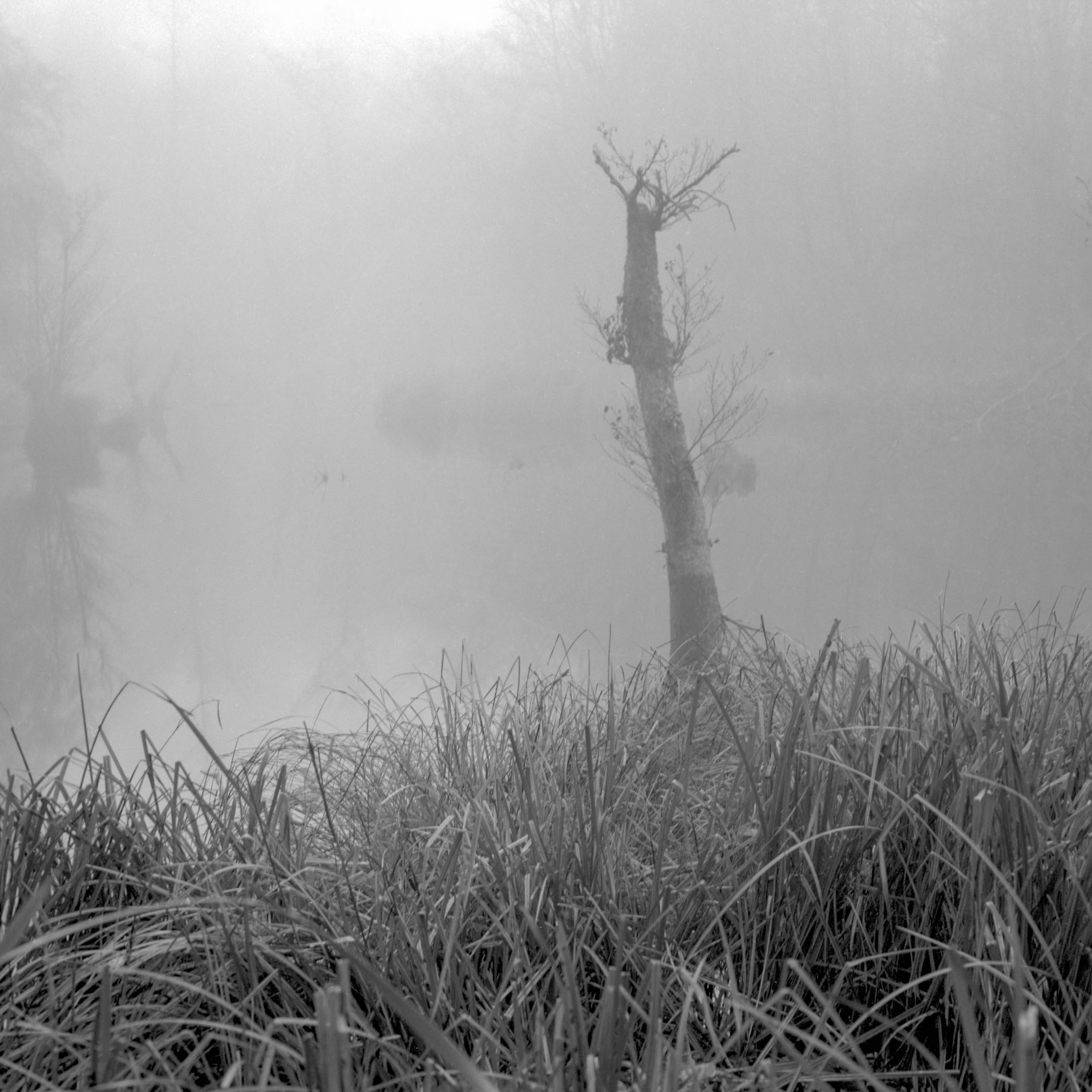 Lyset bryder igennem