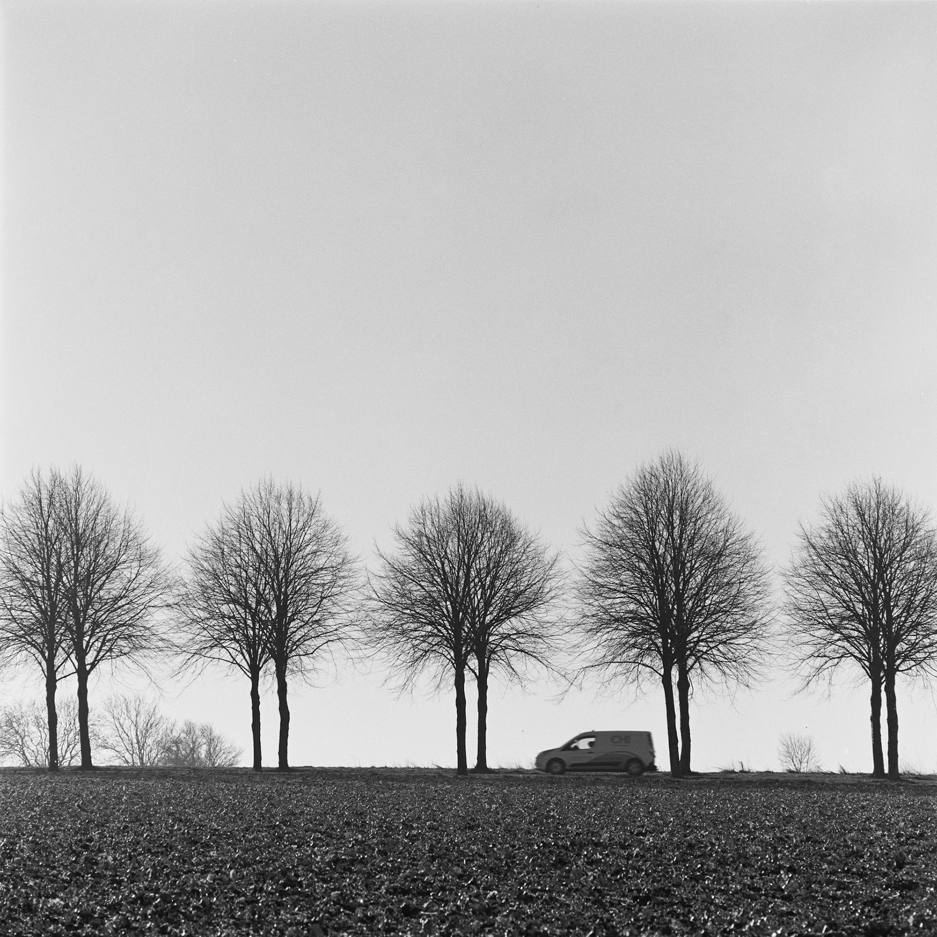 Ledreborg allé