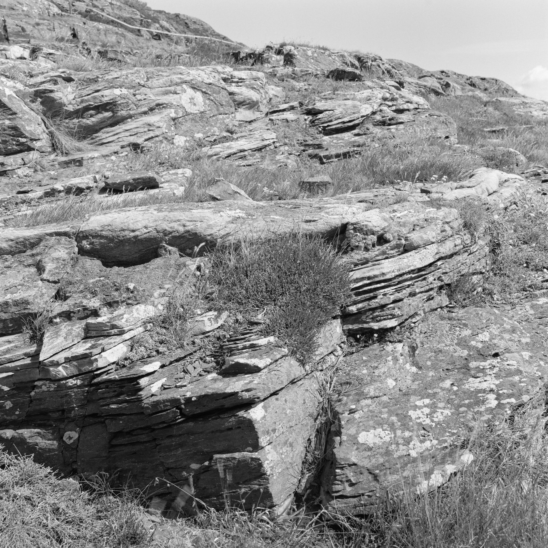 Stora Dyrön