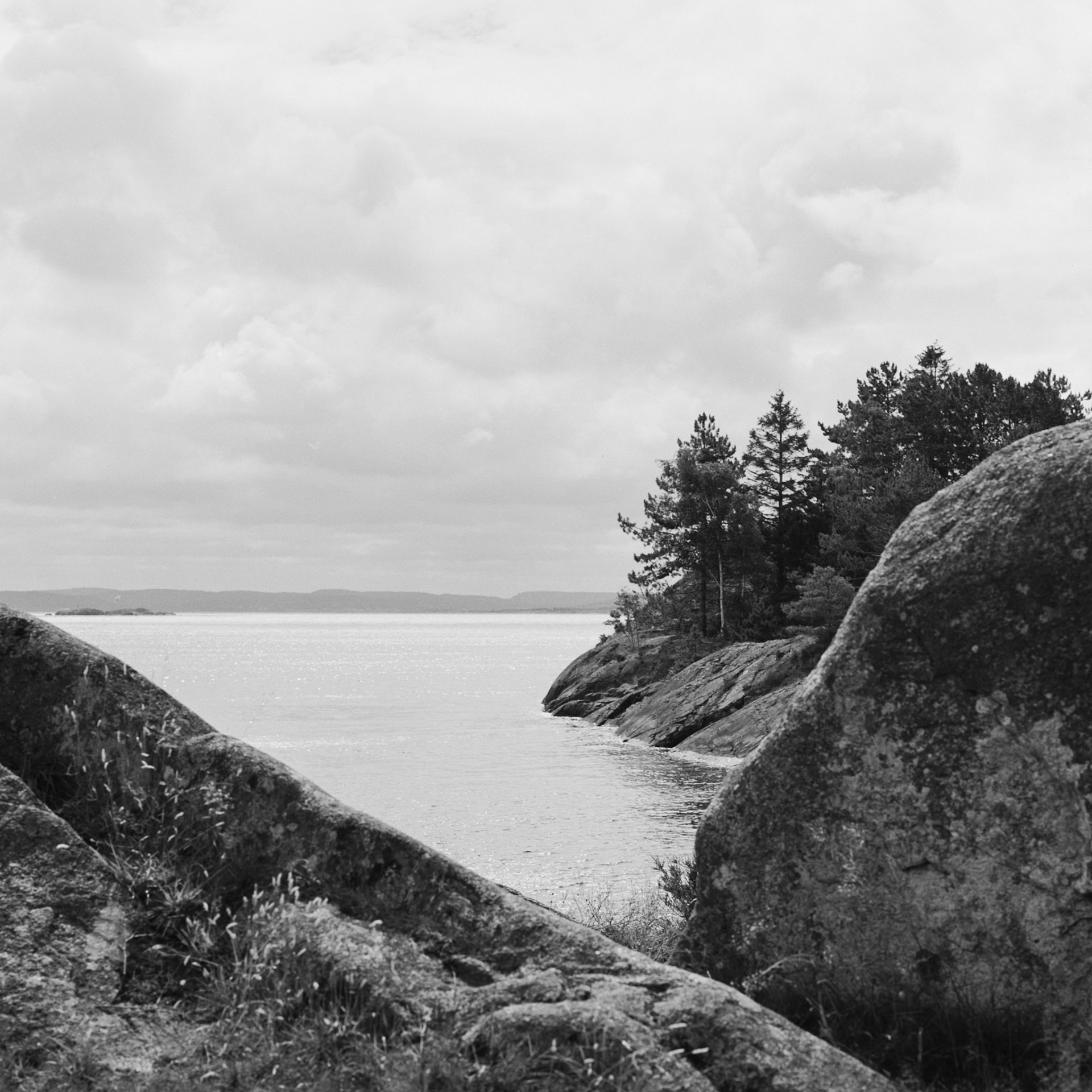 Dyrön