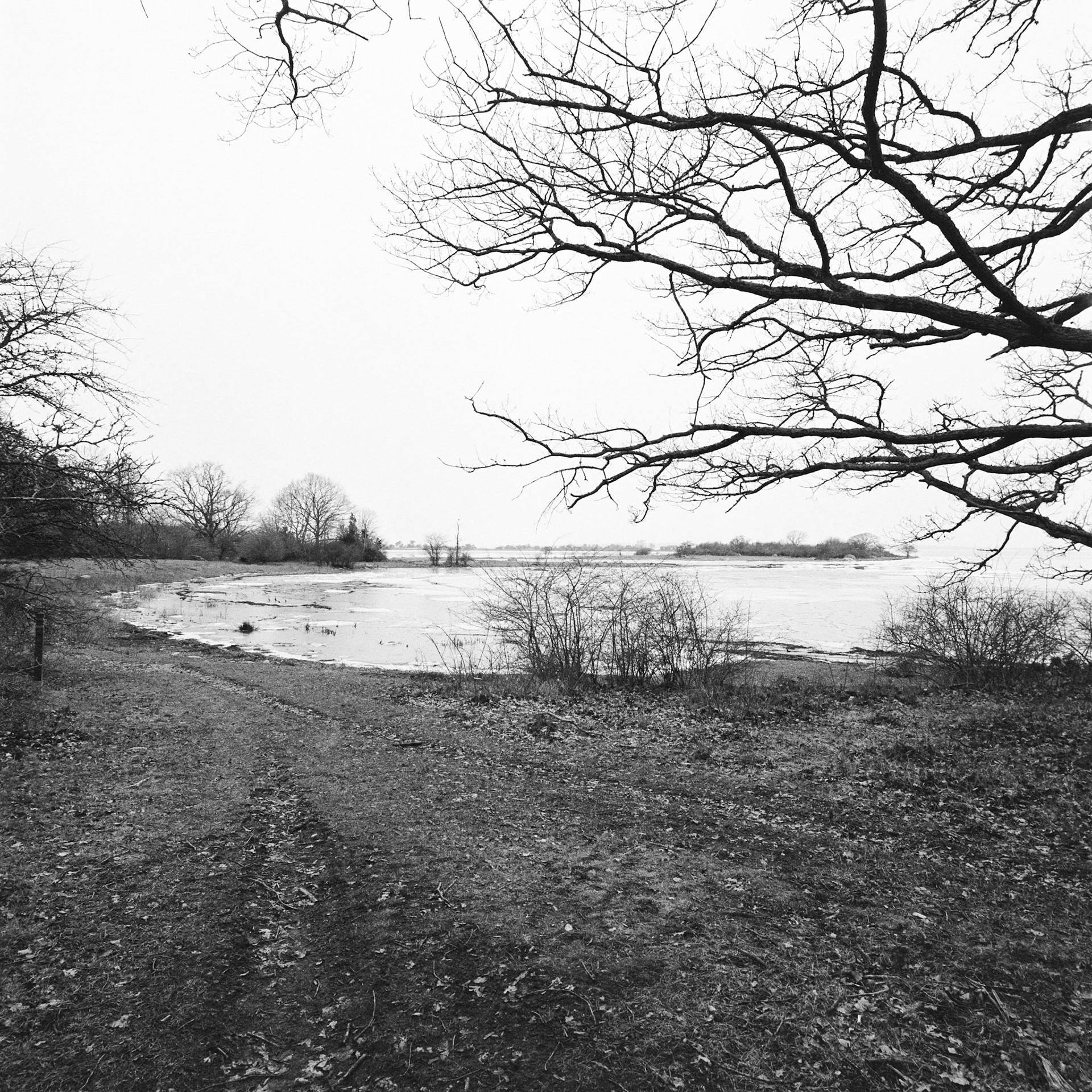 Halltorp hage