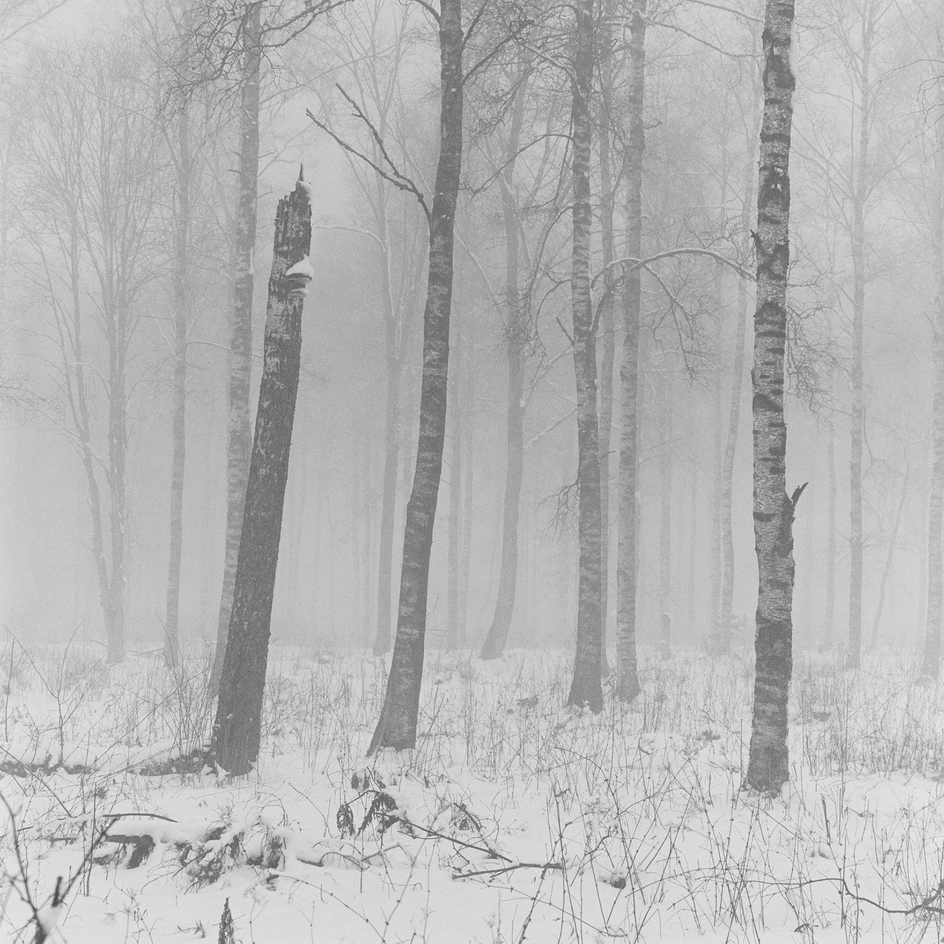 Mösseberg
