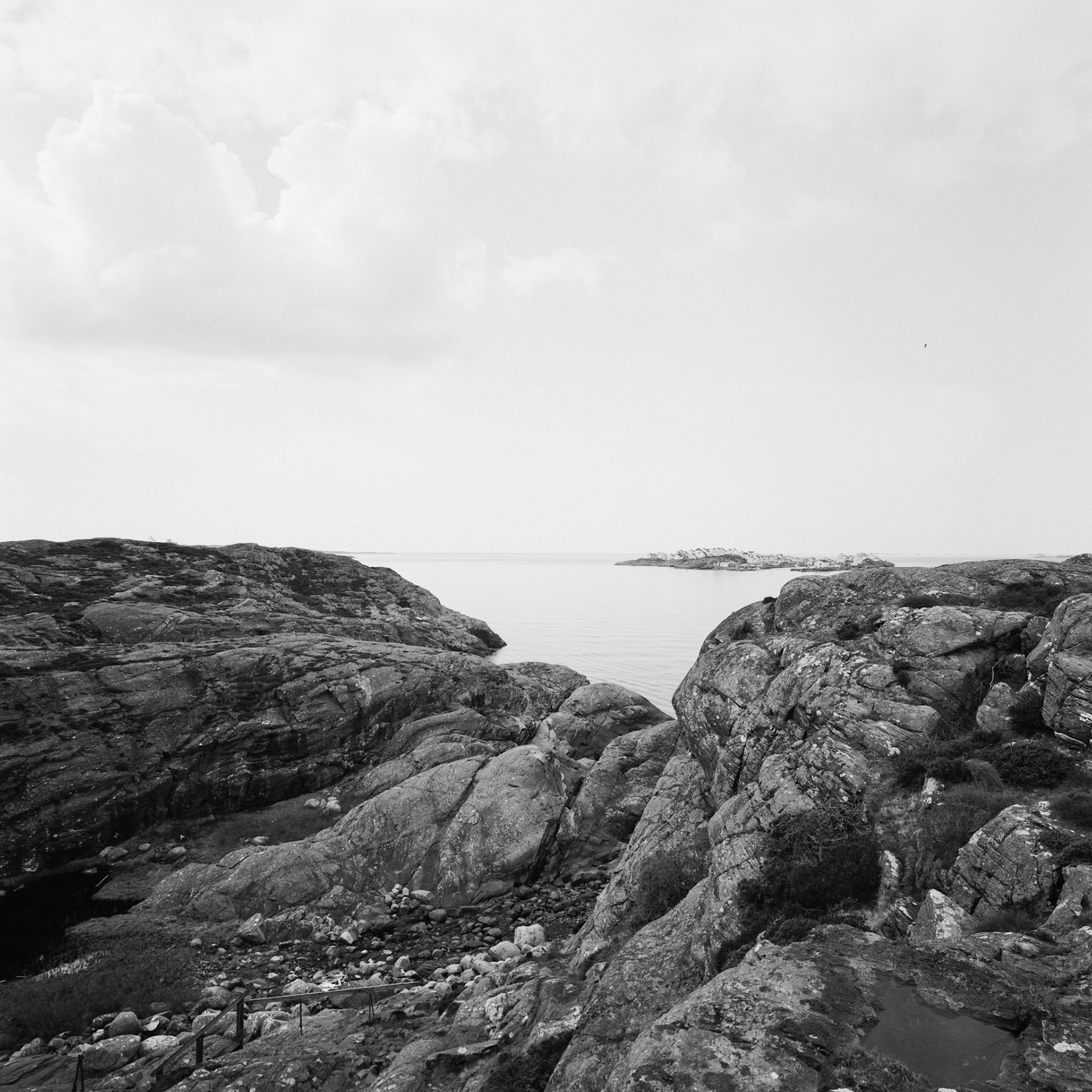 Dyrön
