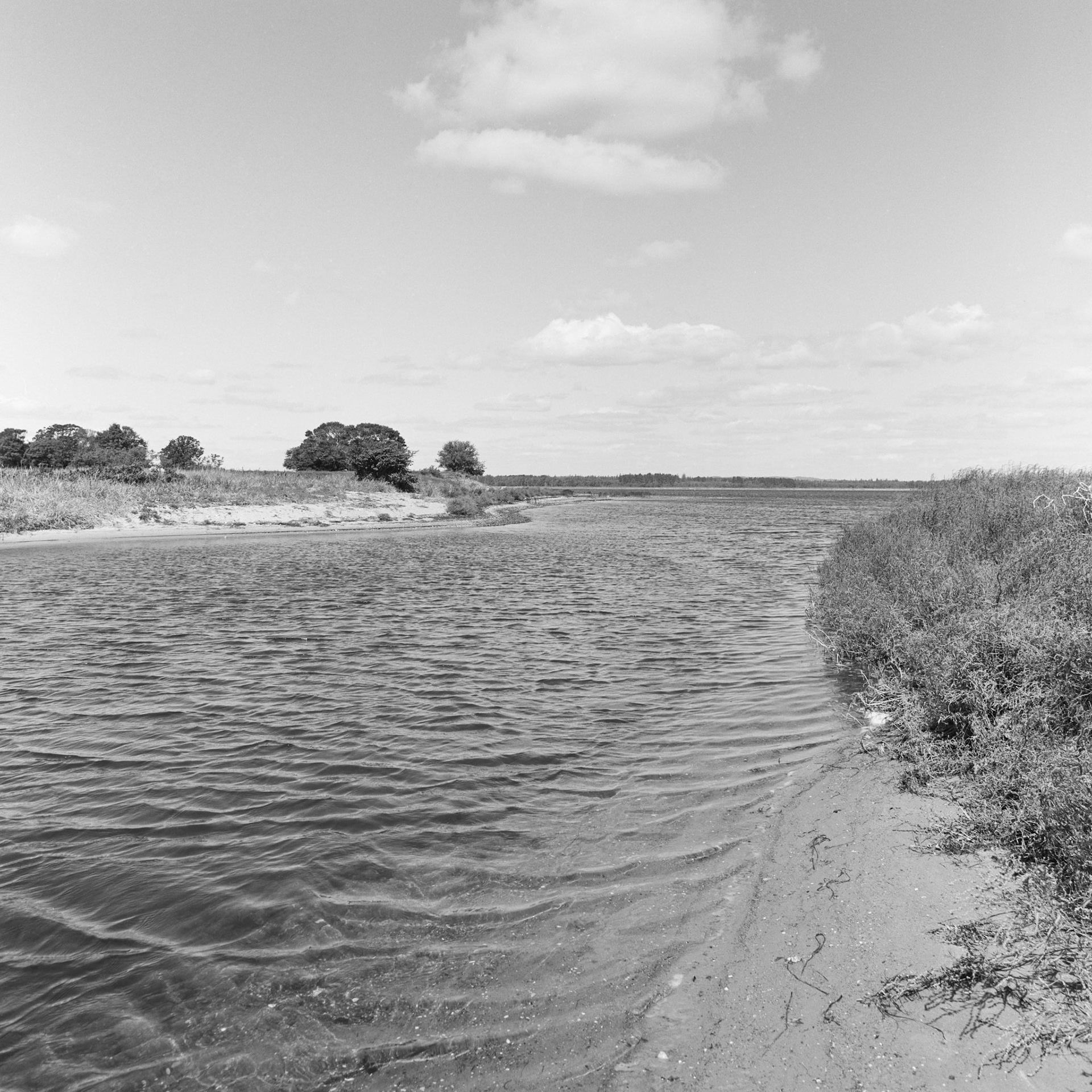 Roneklint