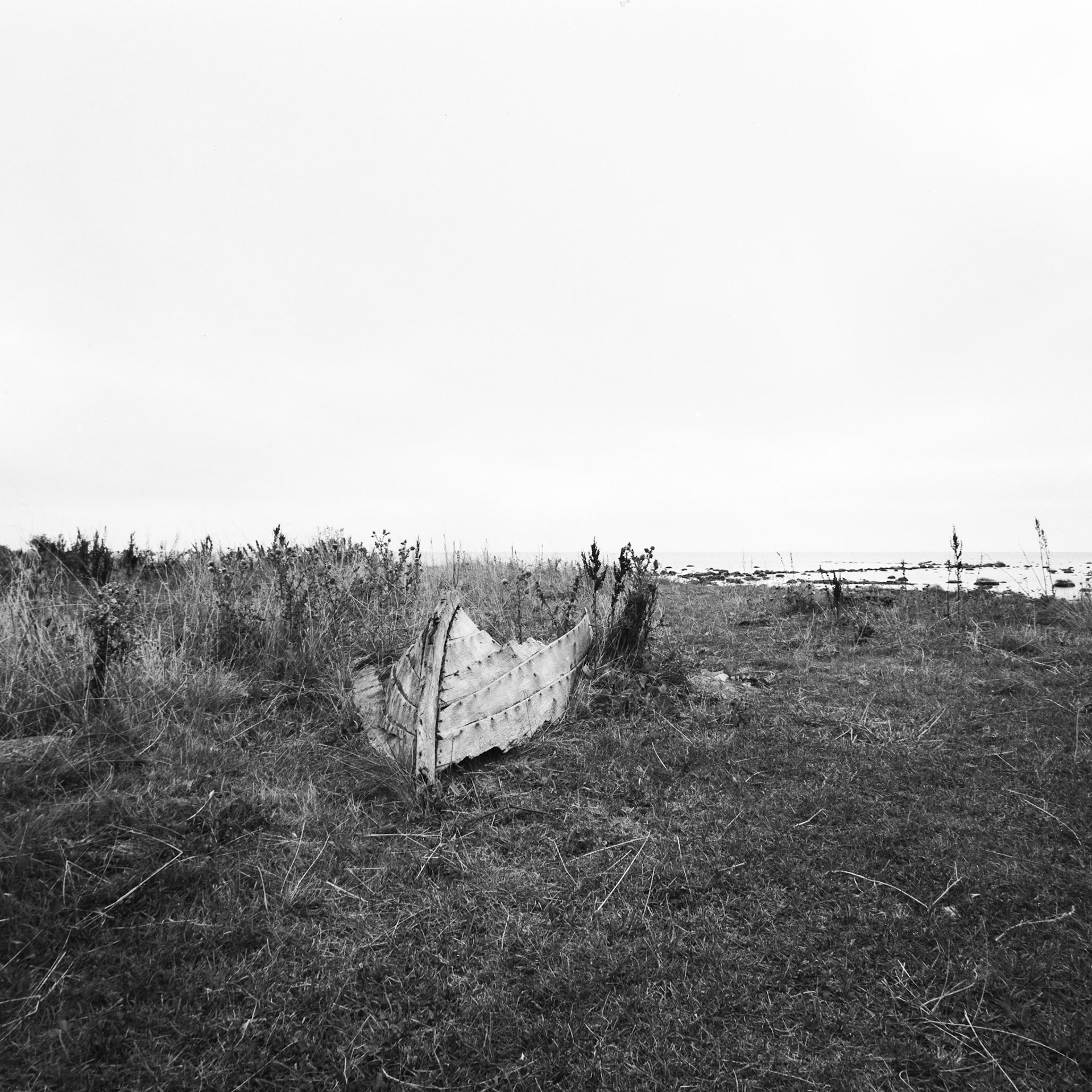 Kapelludden