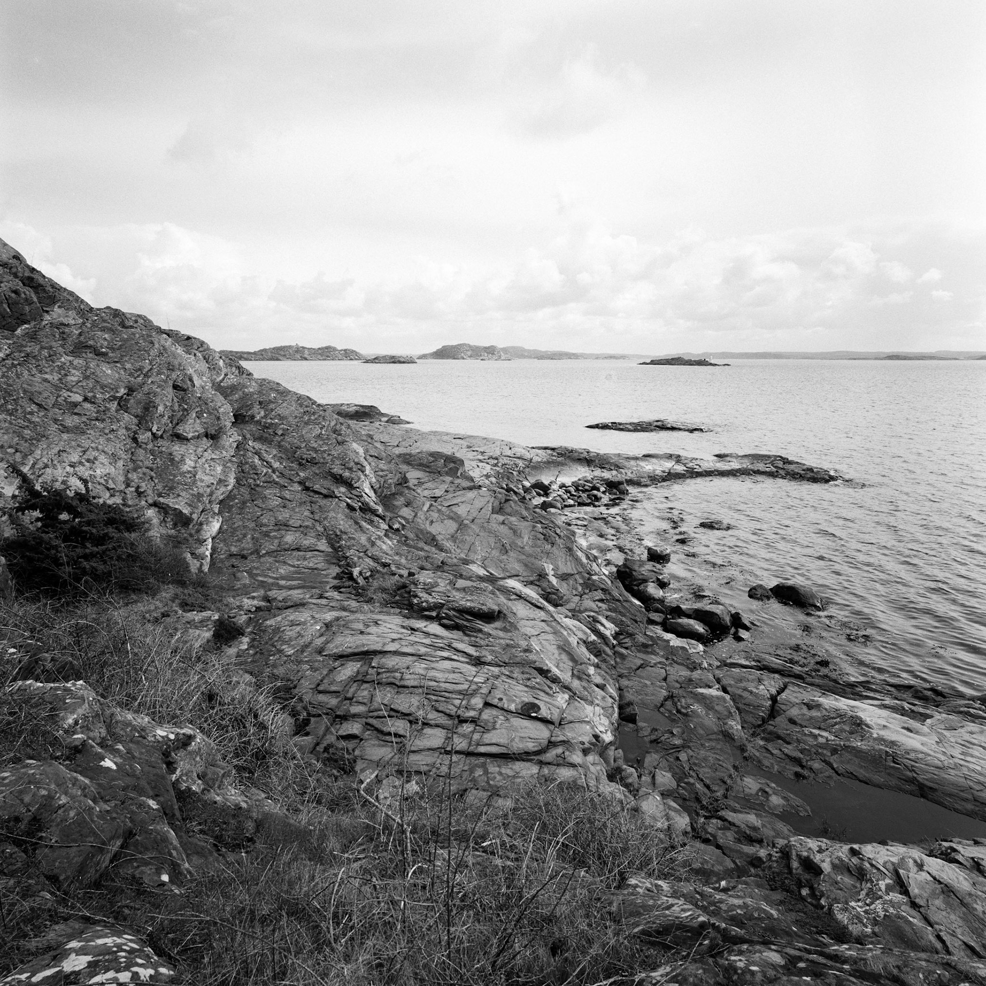 Dyrön