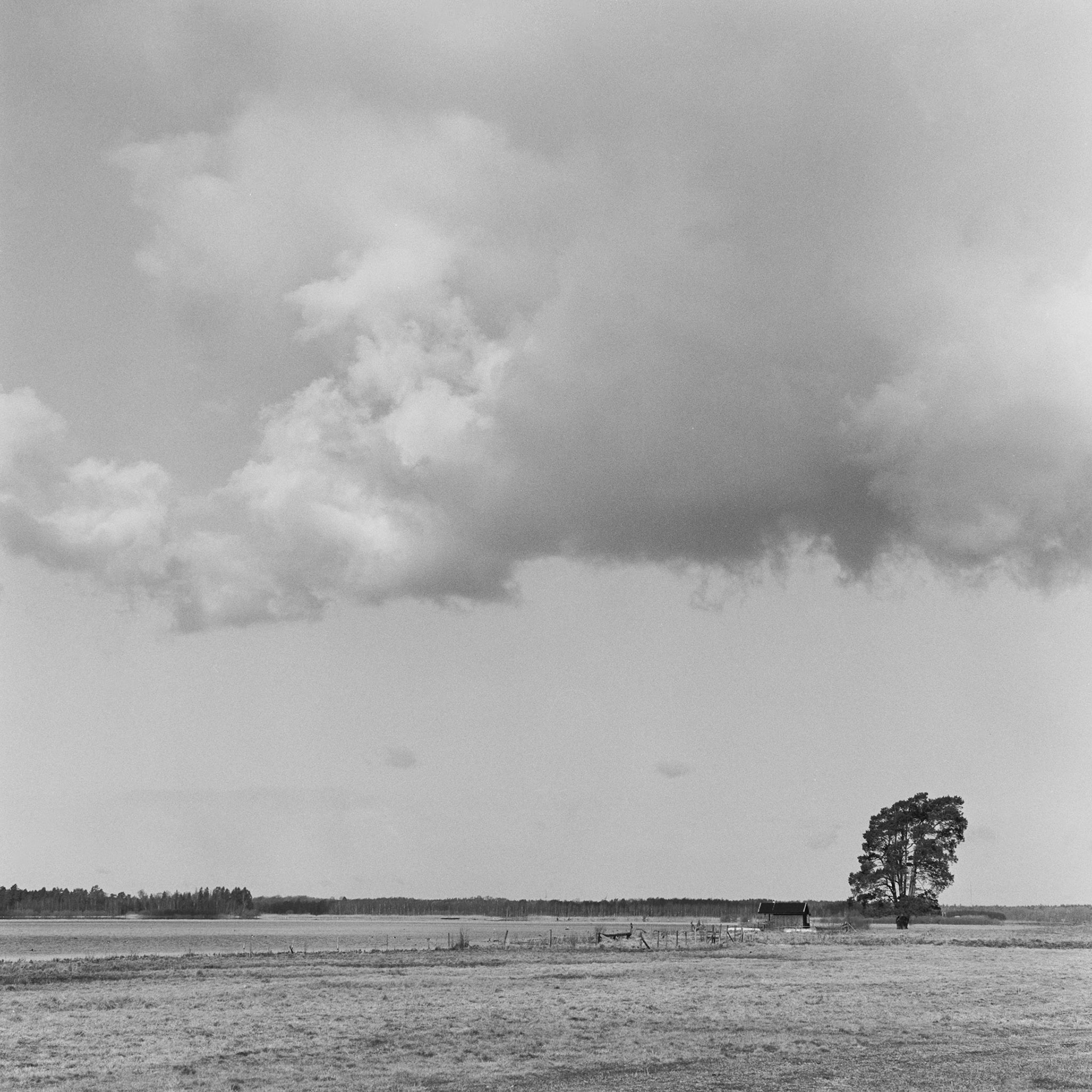 Ytterberg