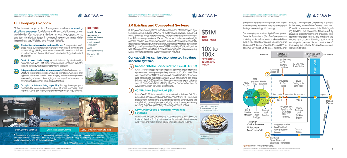 Sample of RFP submittal Page Layout and Graphic Design