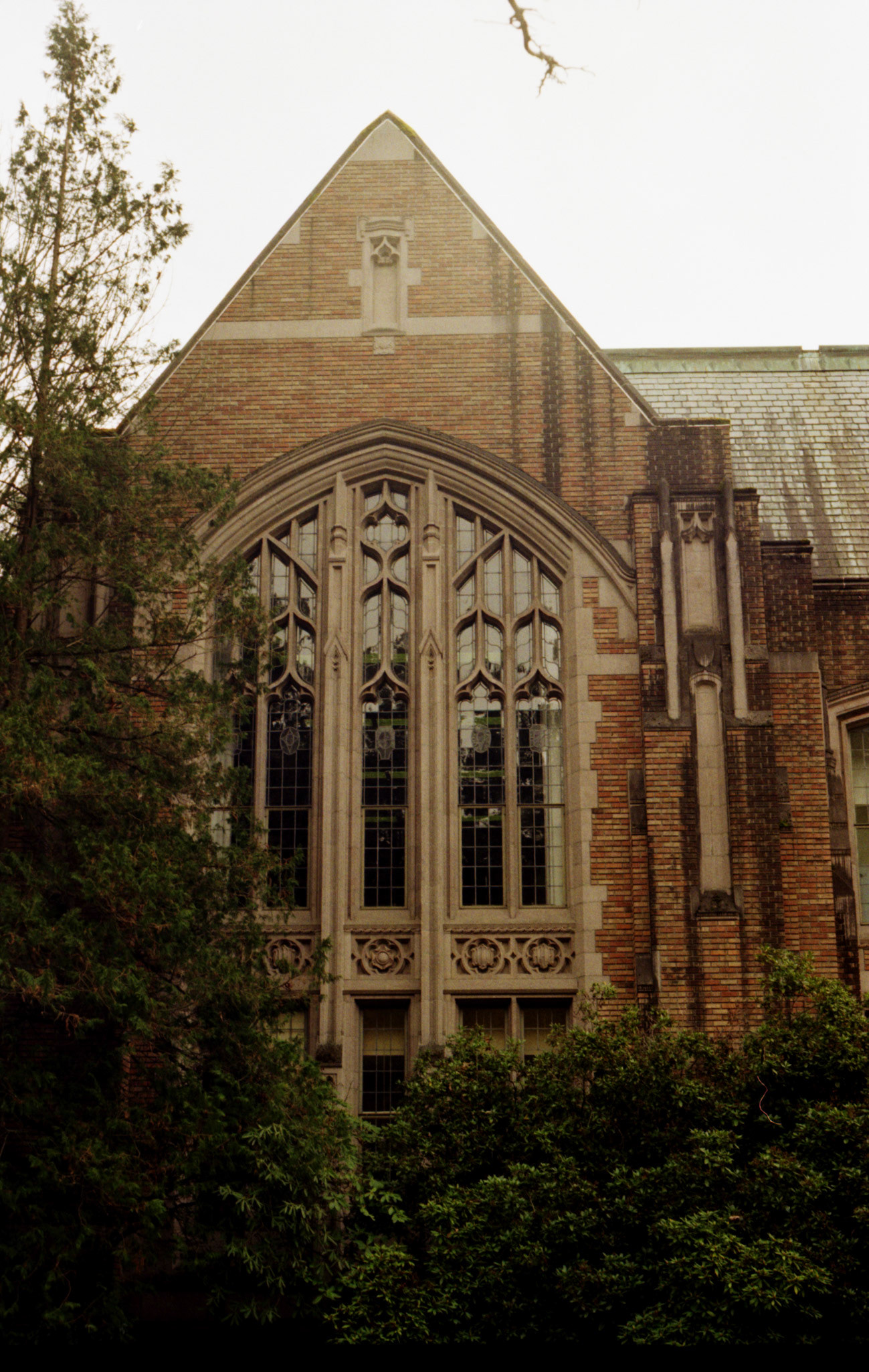 Film - University of Washington (Seattle), 2024