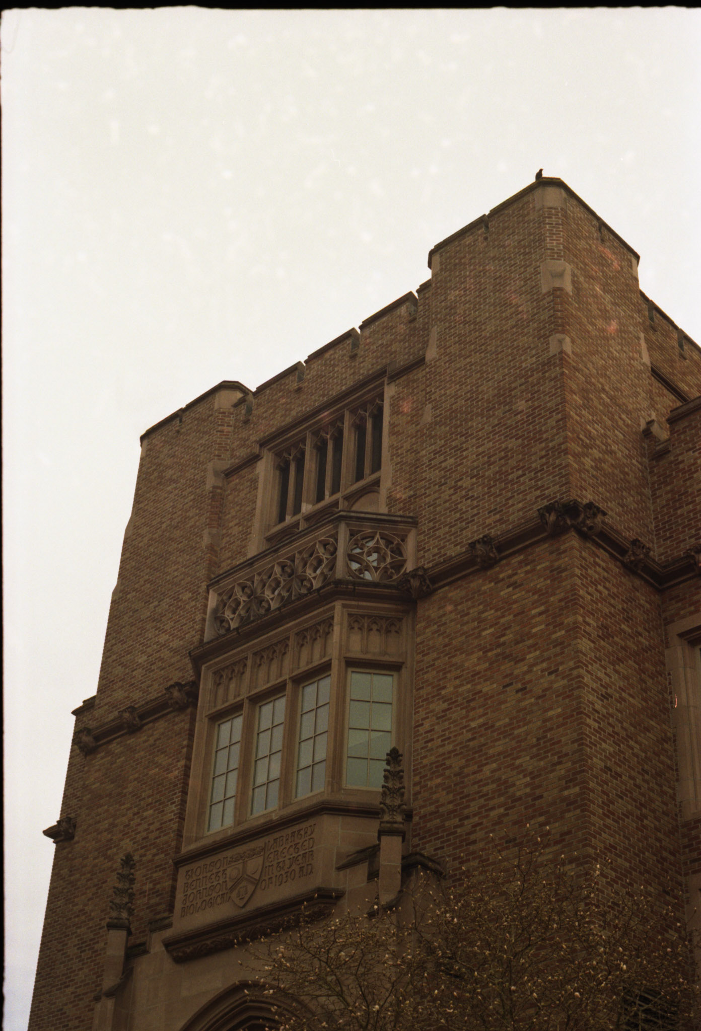 Film - Univerity of Washington (Seattle), 2024