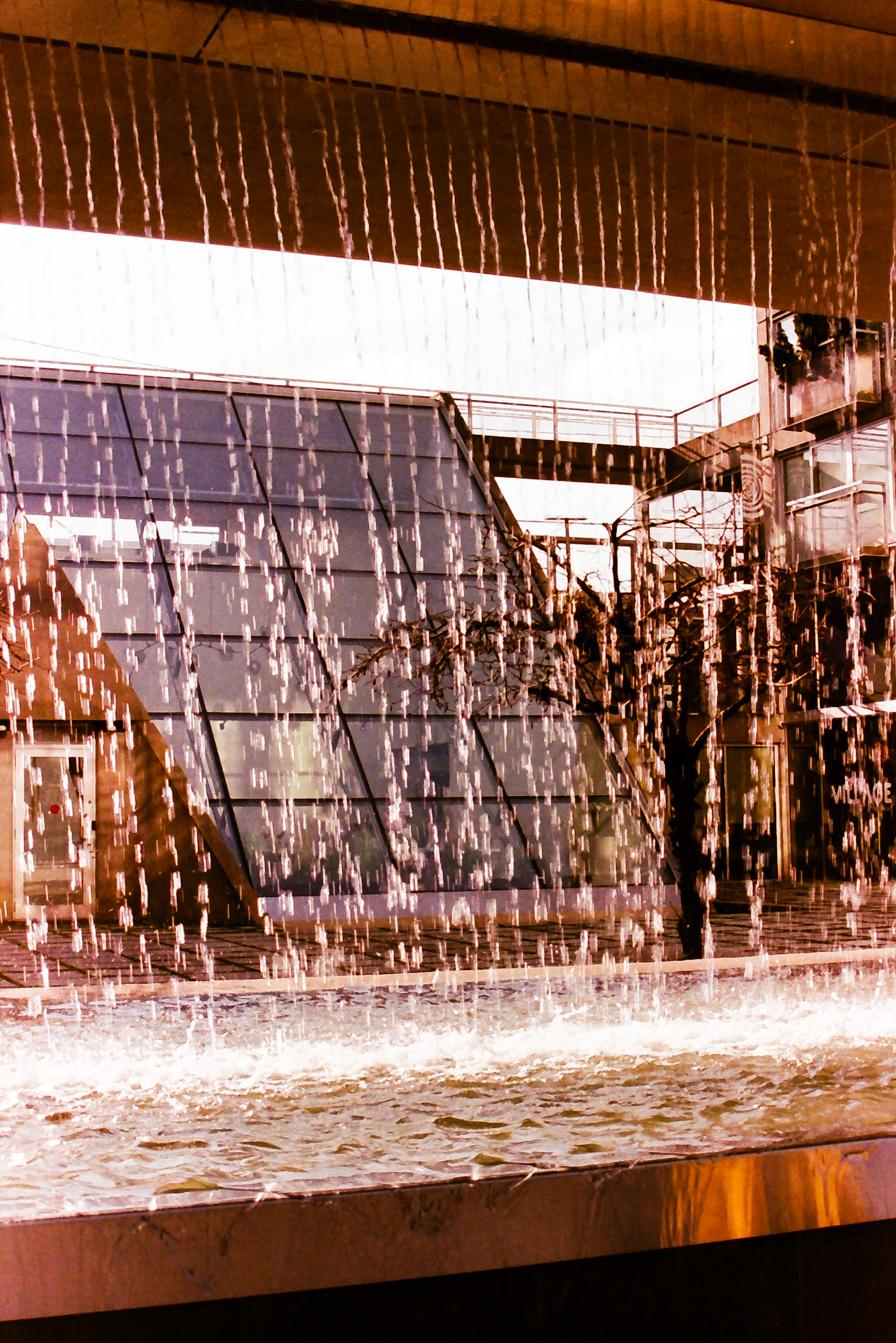 Film - Vancouver, 2024