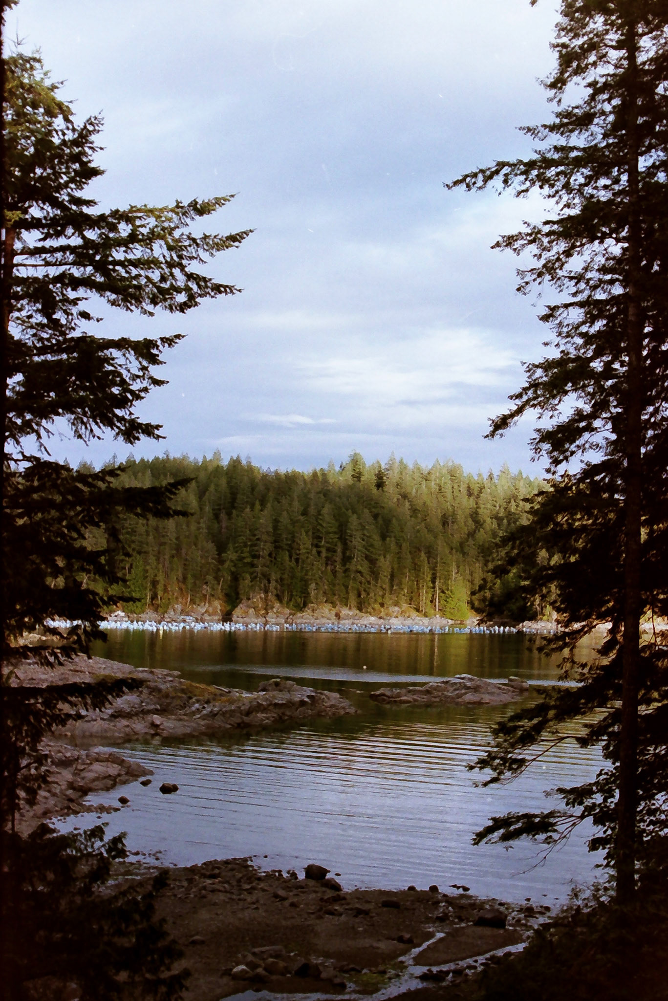 Film - Quadra Island. 2024
