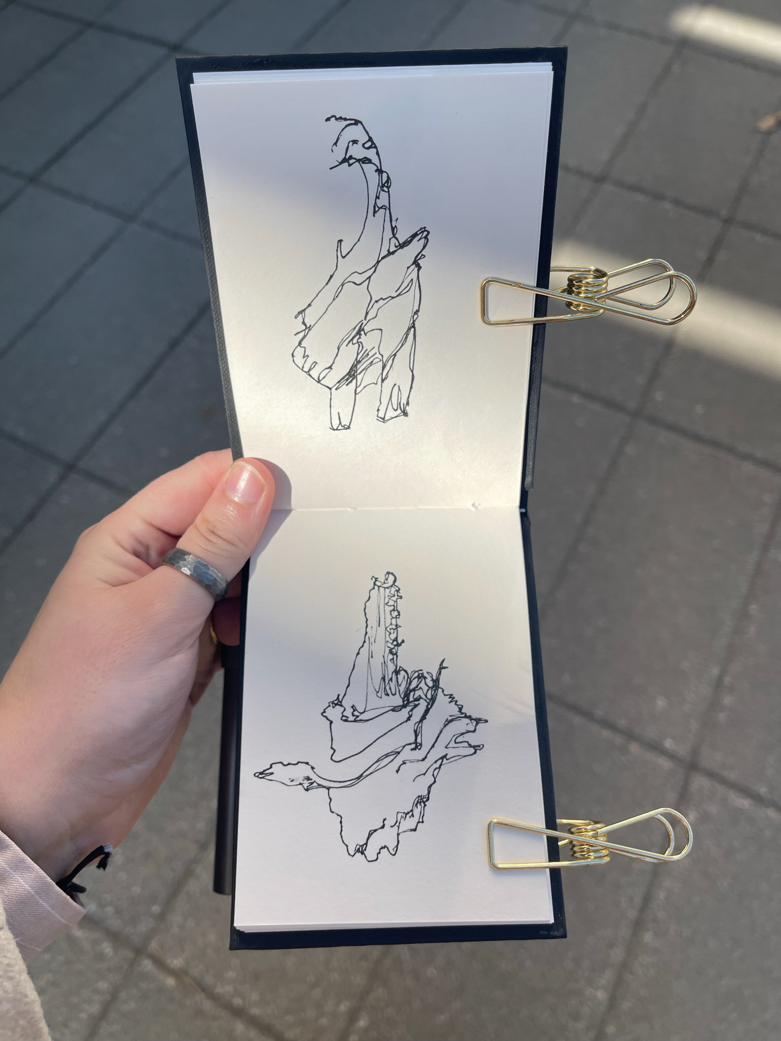 #draw