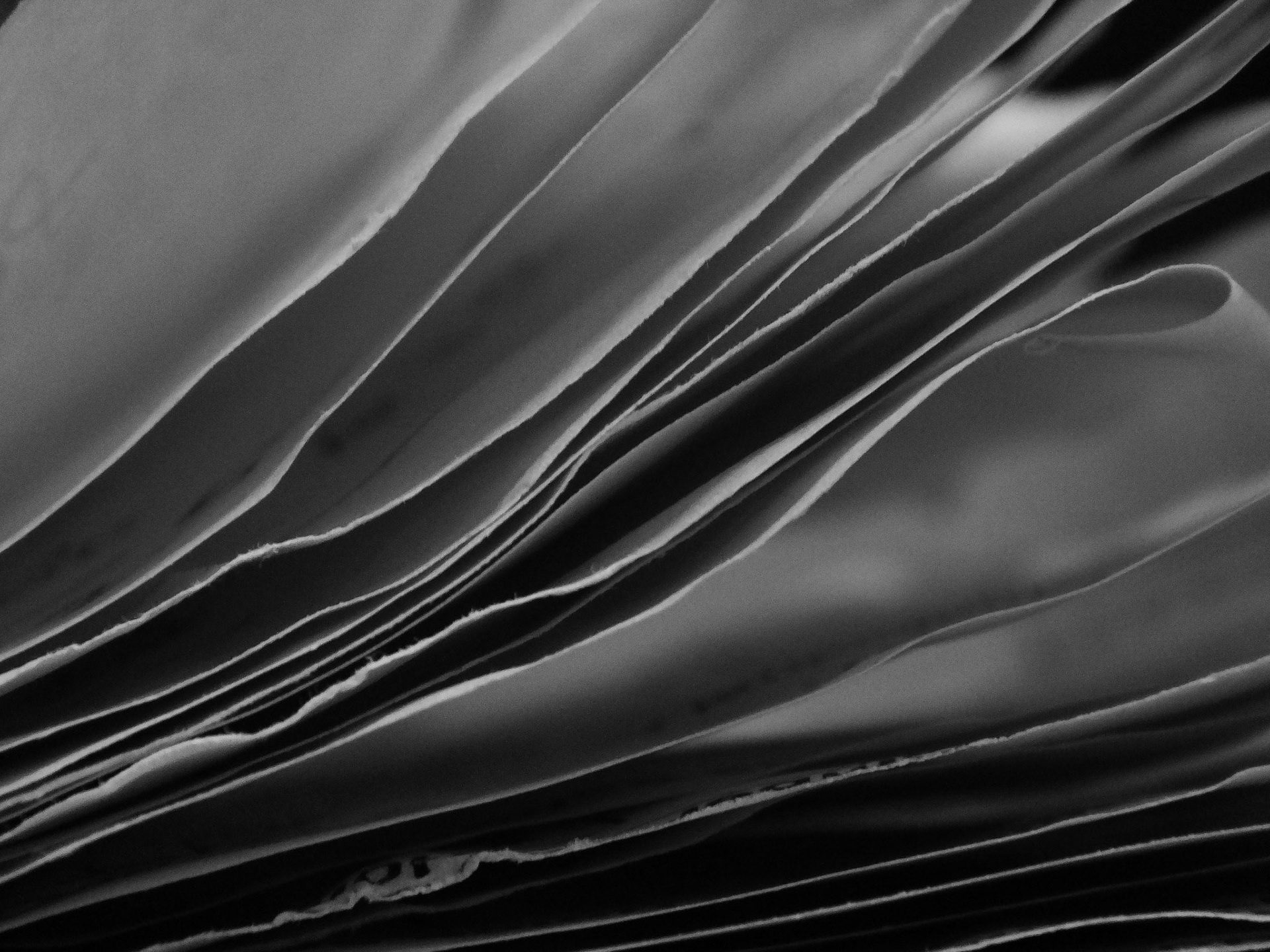 Digital - Waterloo 2011