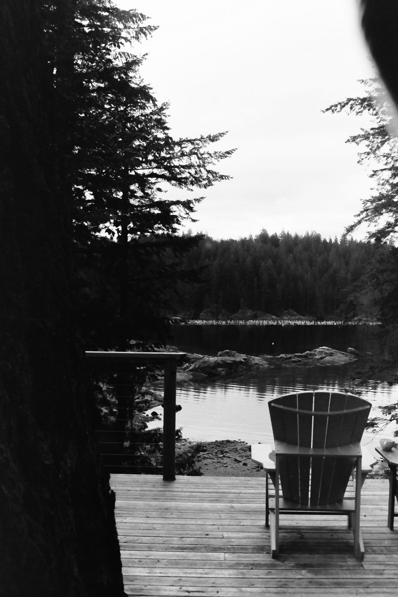 Film - Quadra Island, 2024