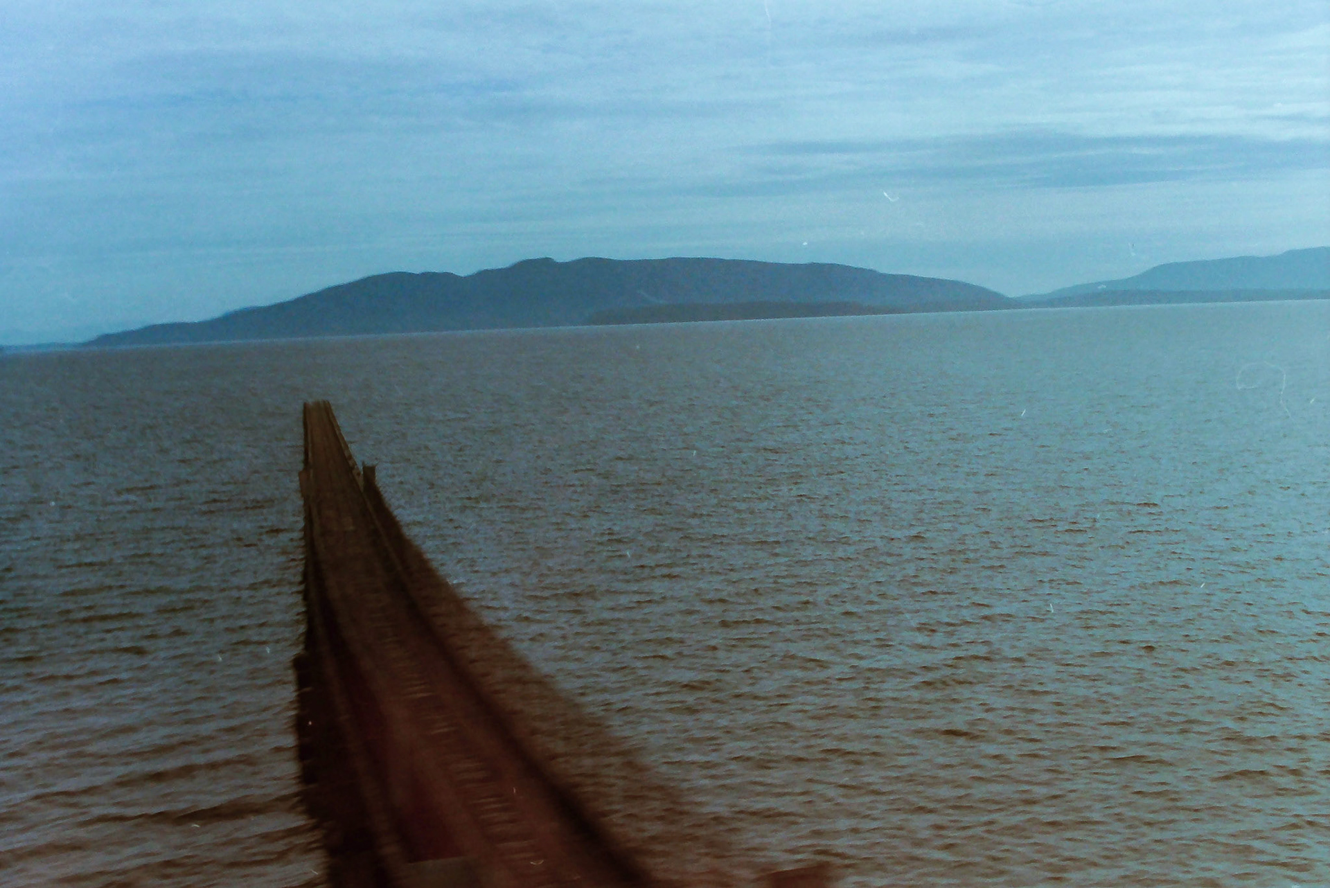 Film, White Rock, 2024