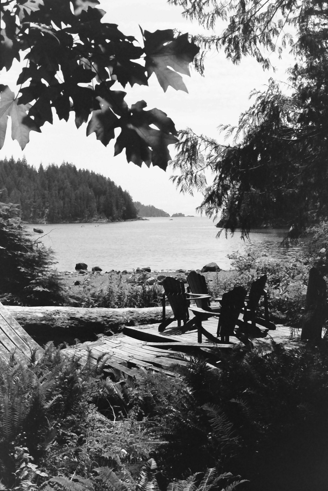 Film - Quadra Island, 2024
