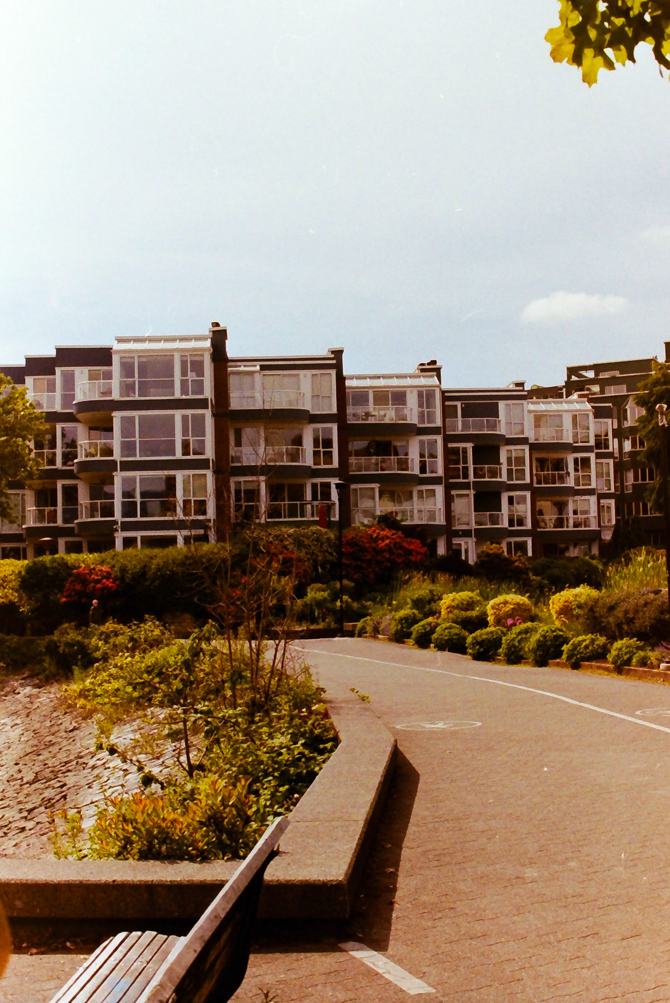 Film - Vancouver, 2024