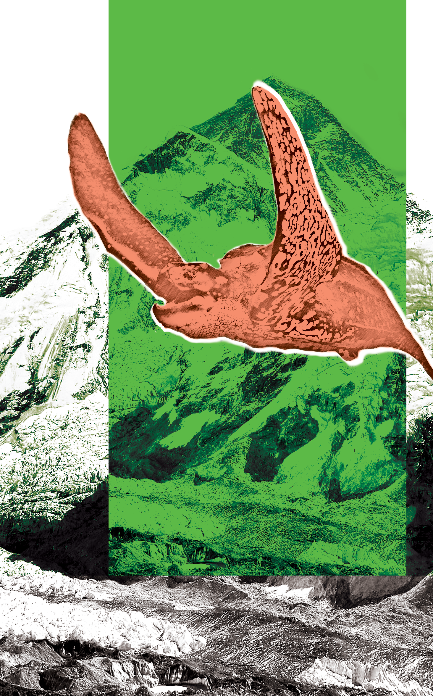 Illustration - Mt Everest