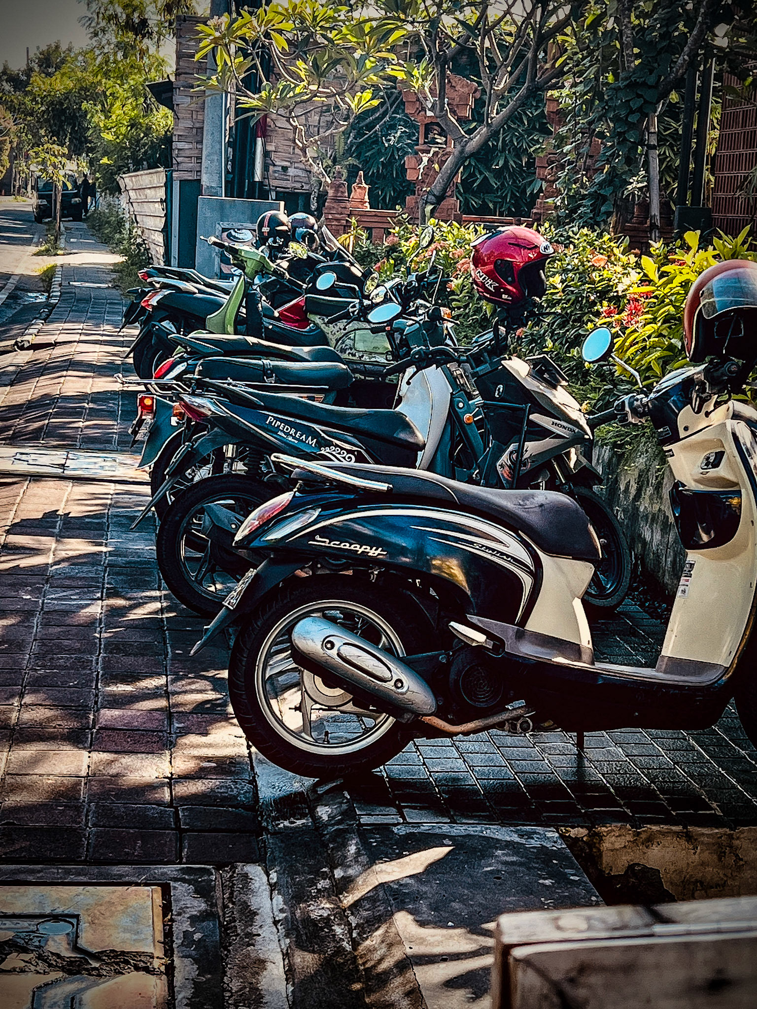 Bali Mopeds
