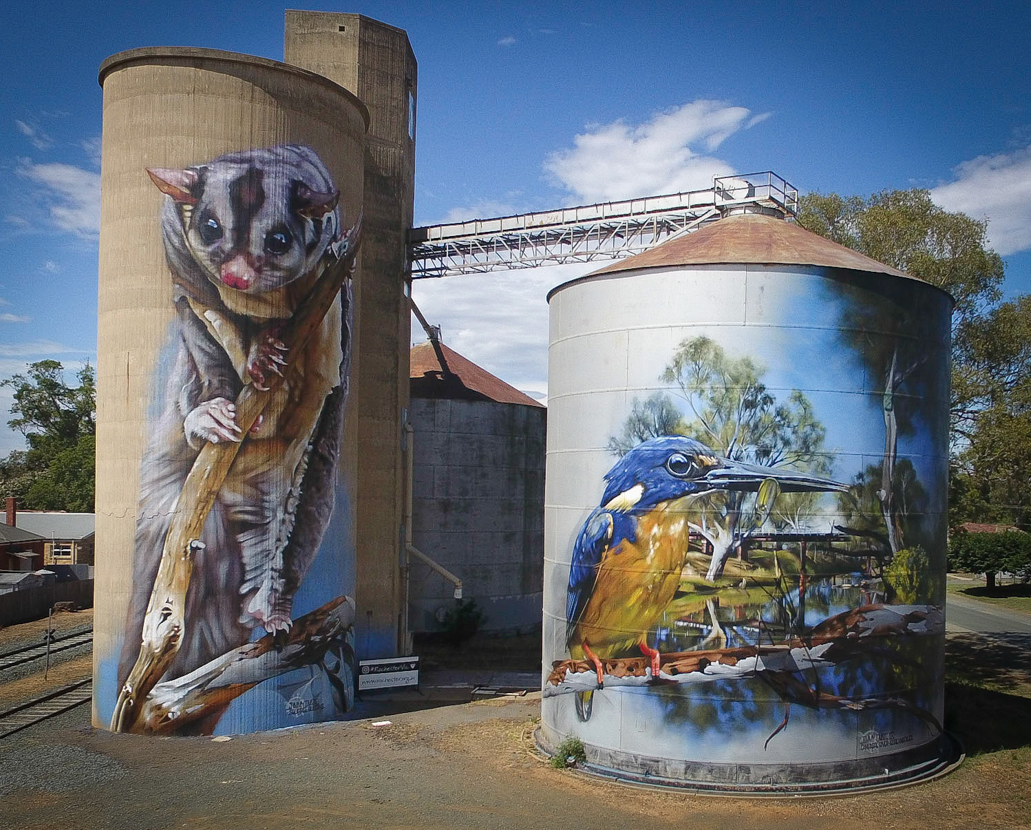 Rochester Silo Art