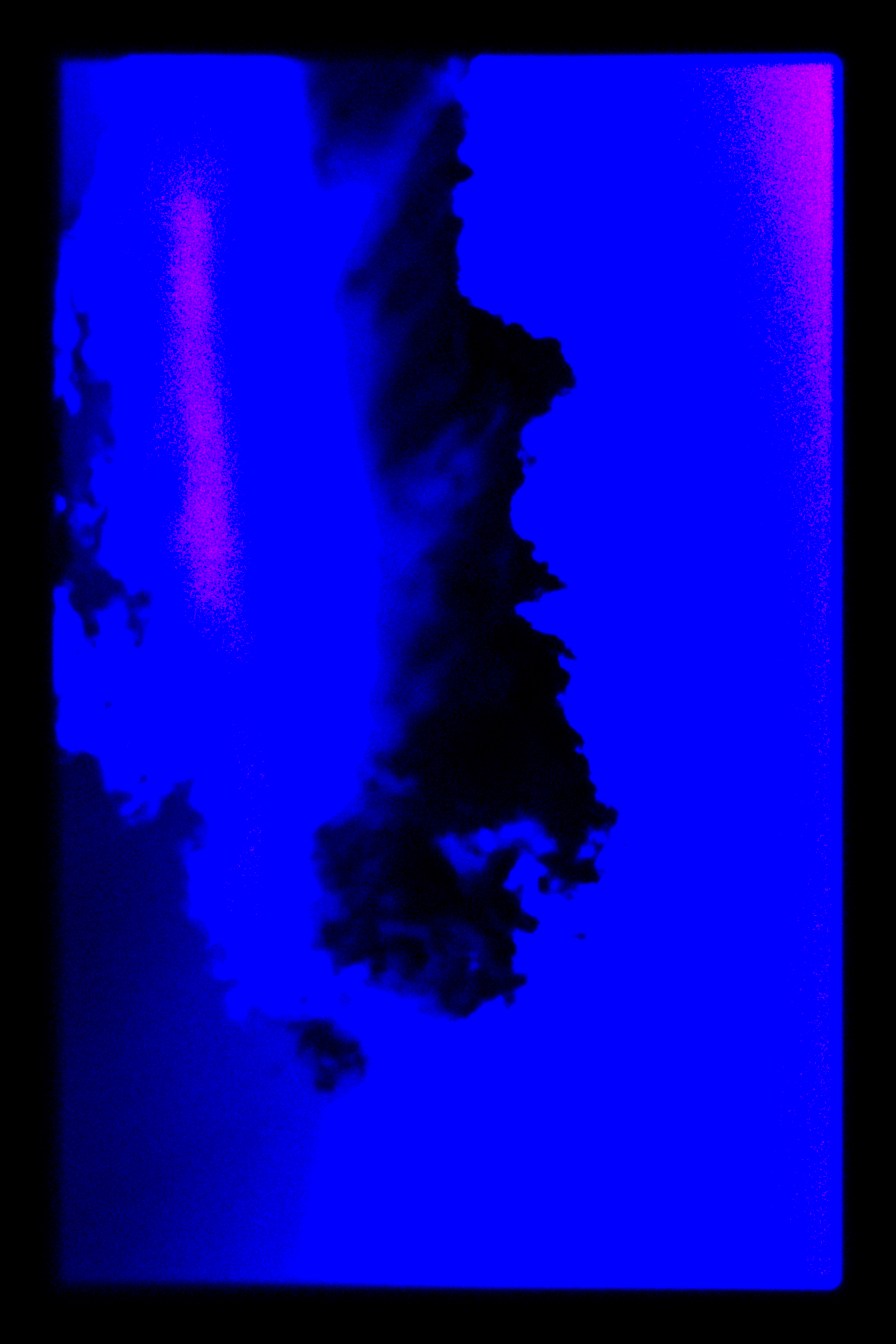 Dream No. 4
