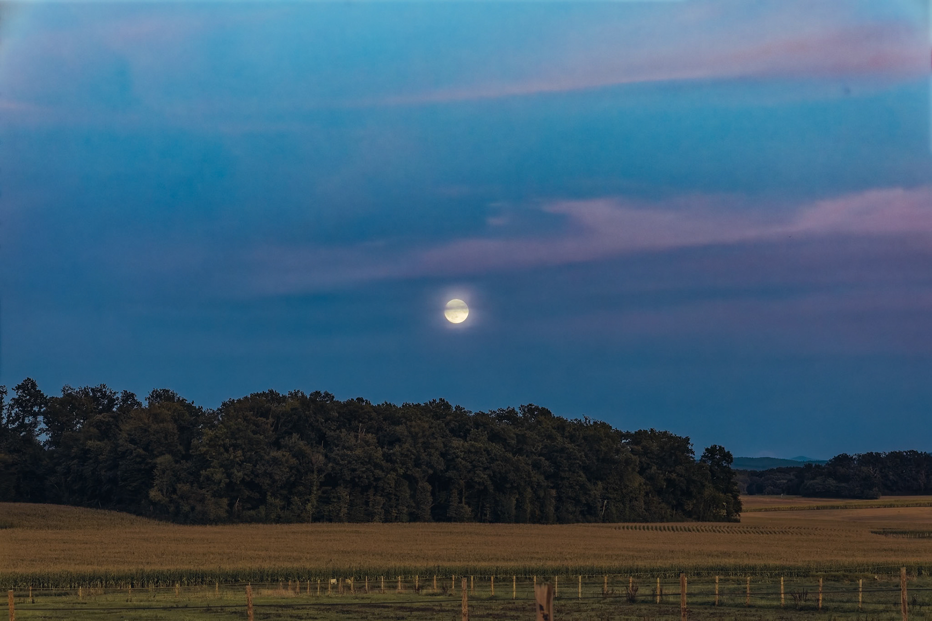 Domaine de la Sane-Montpont-en-Bresse (F)
