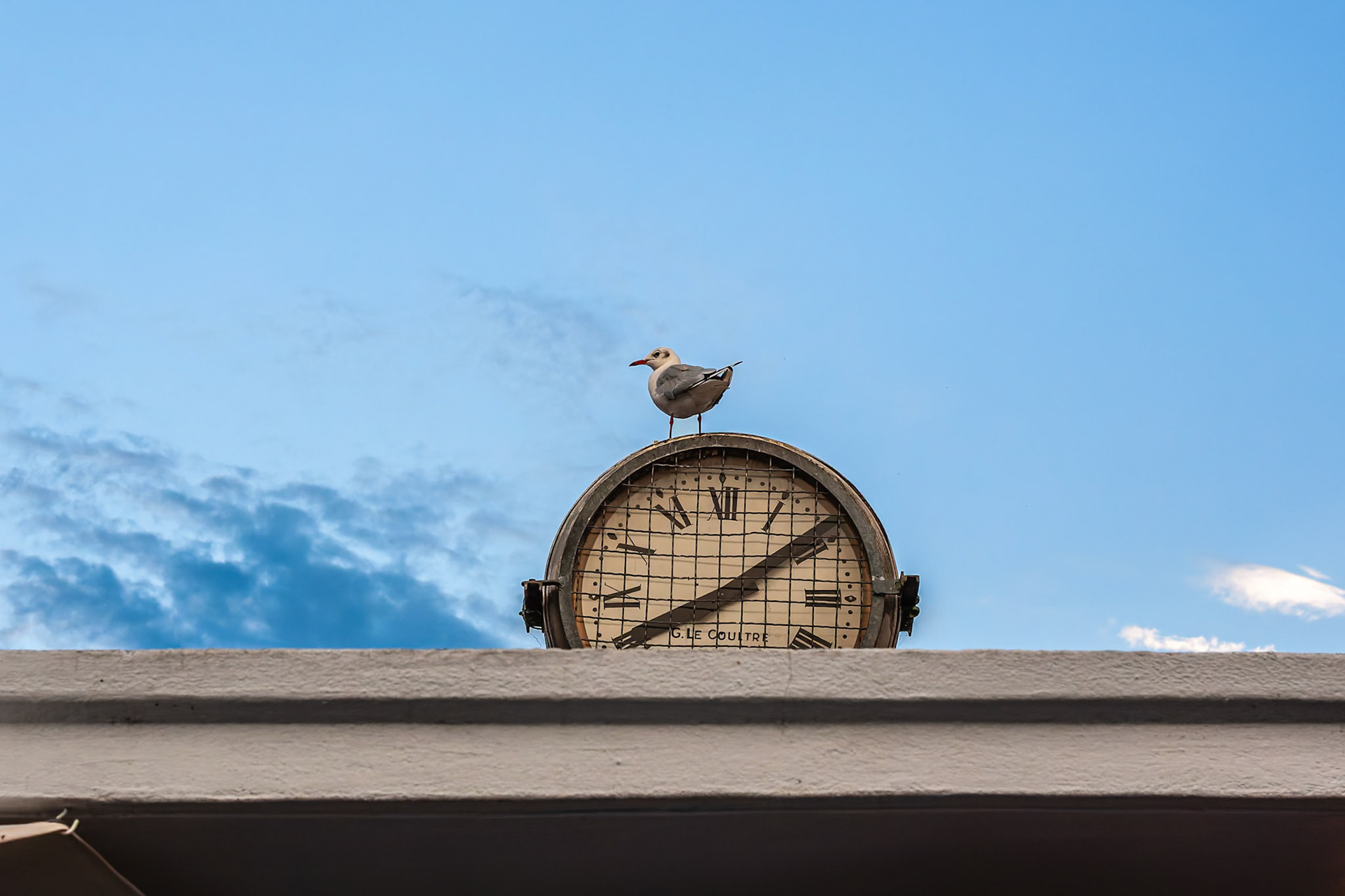 Mouette à l'heure - BdP Genève