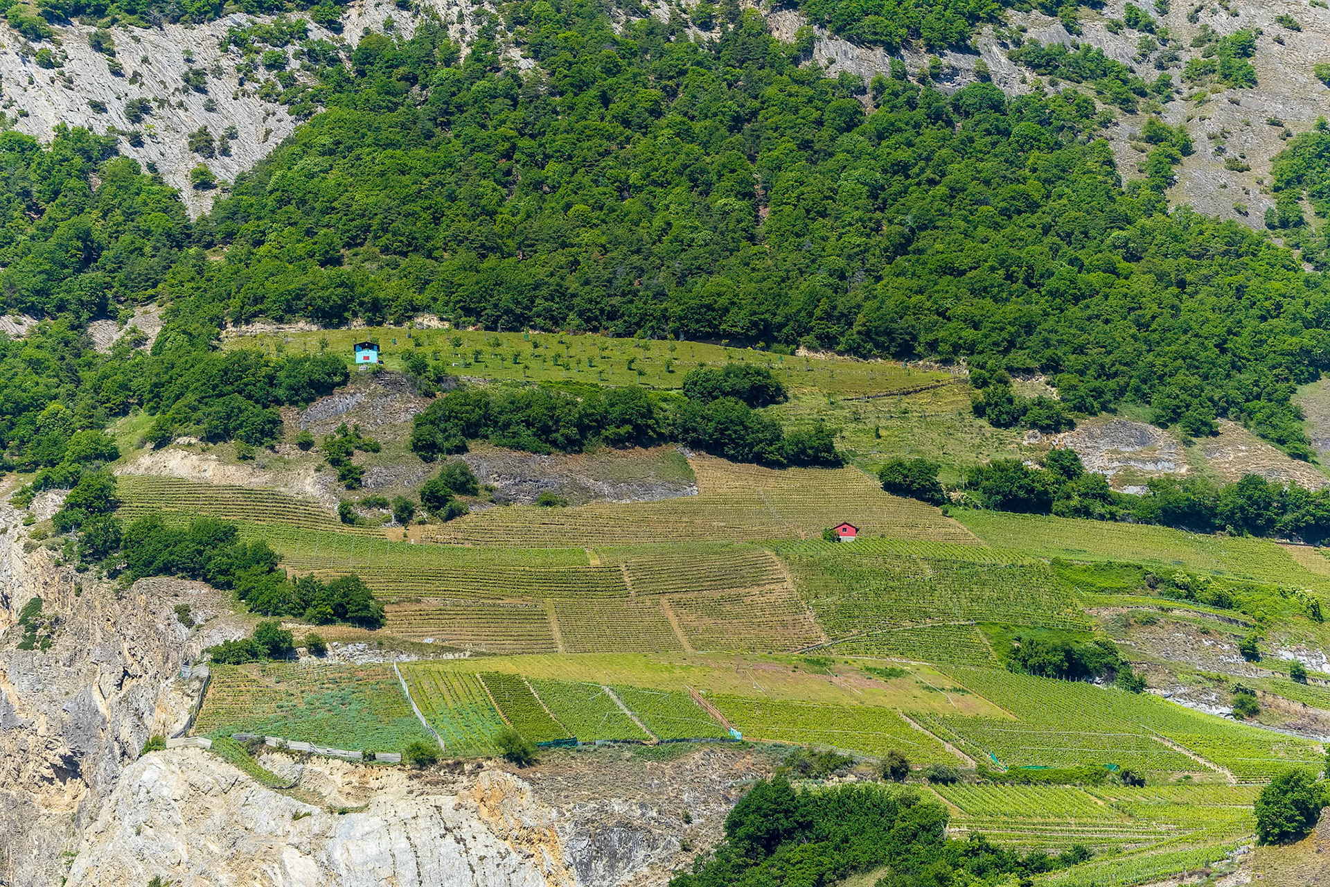 Maisons de vigne Saillon