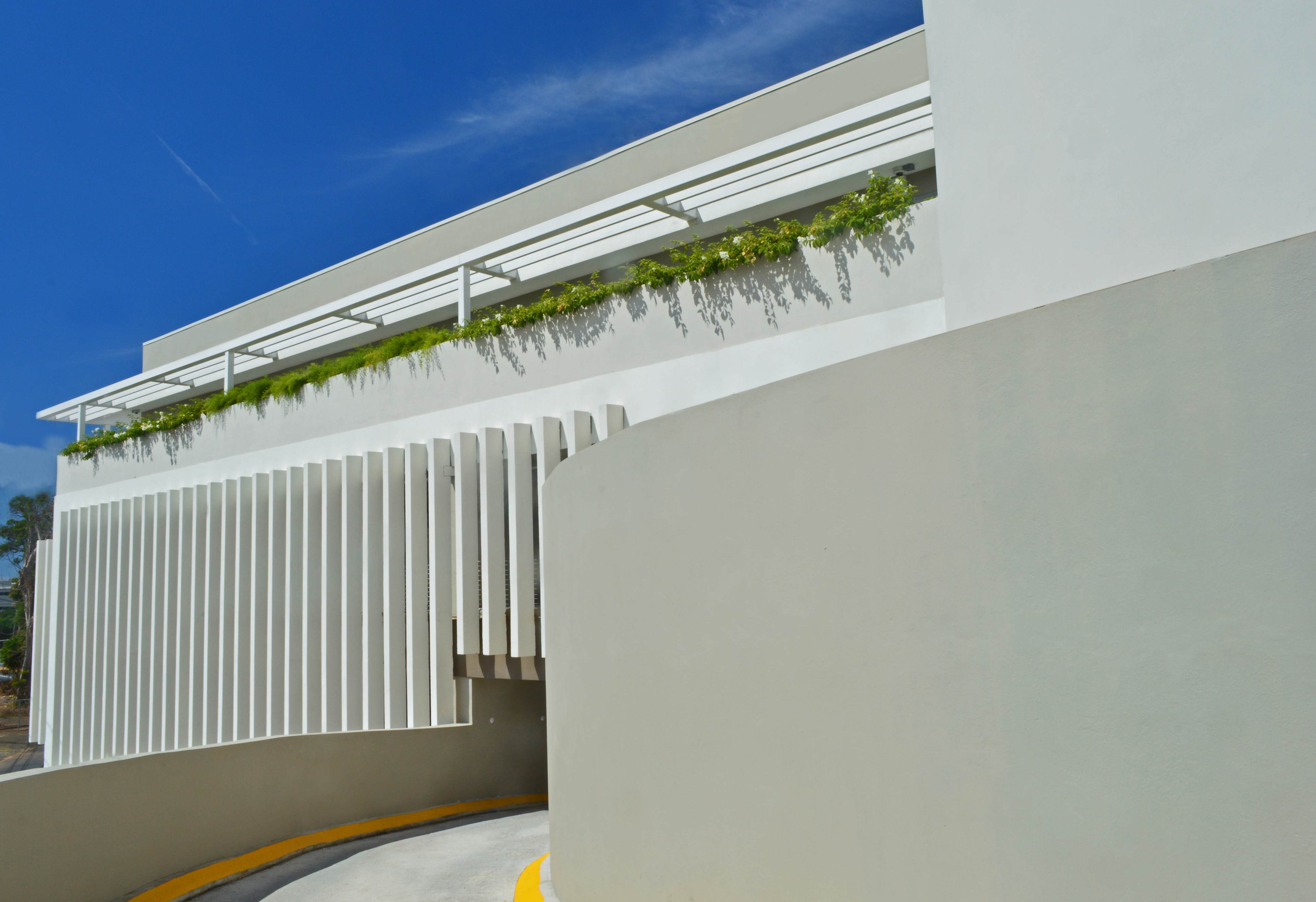 Photo by René Castillo