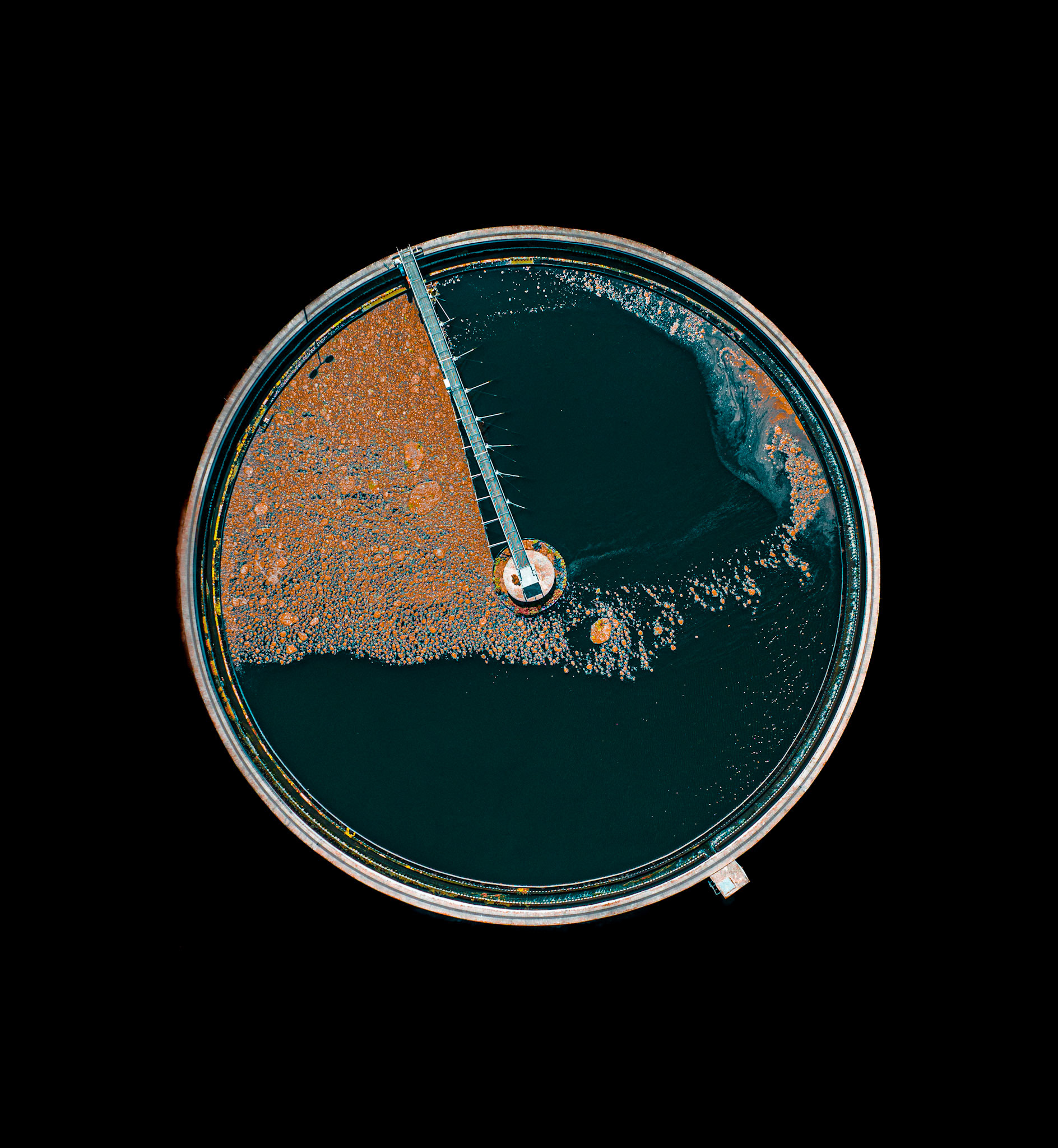 swarm -1-