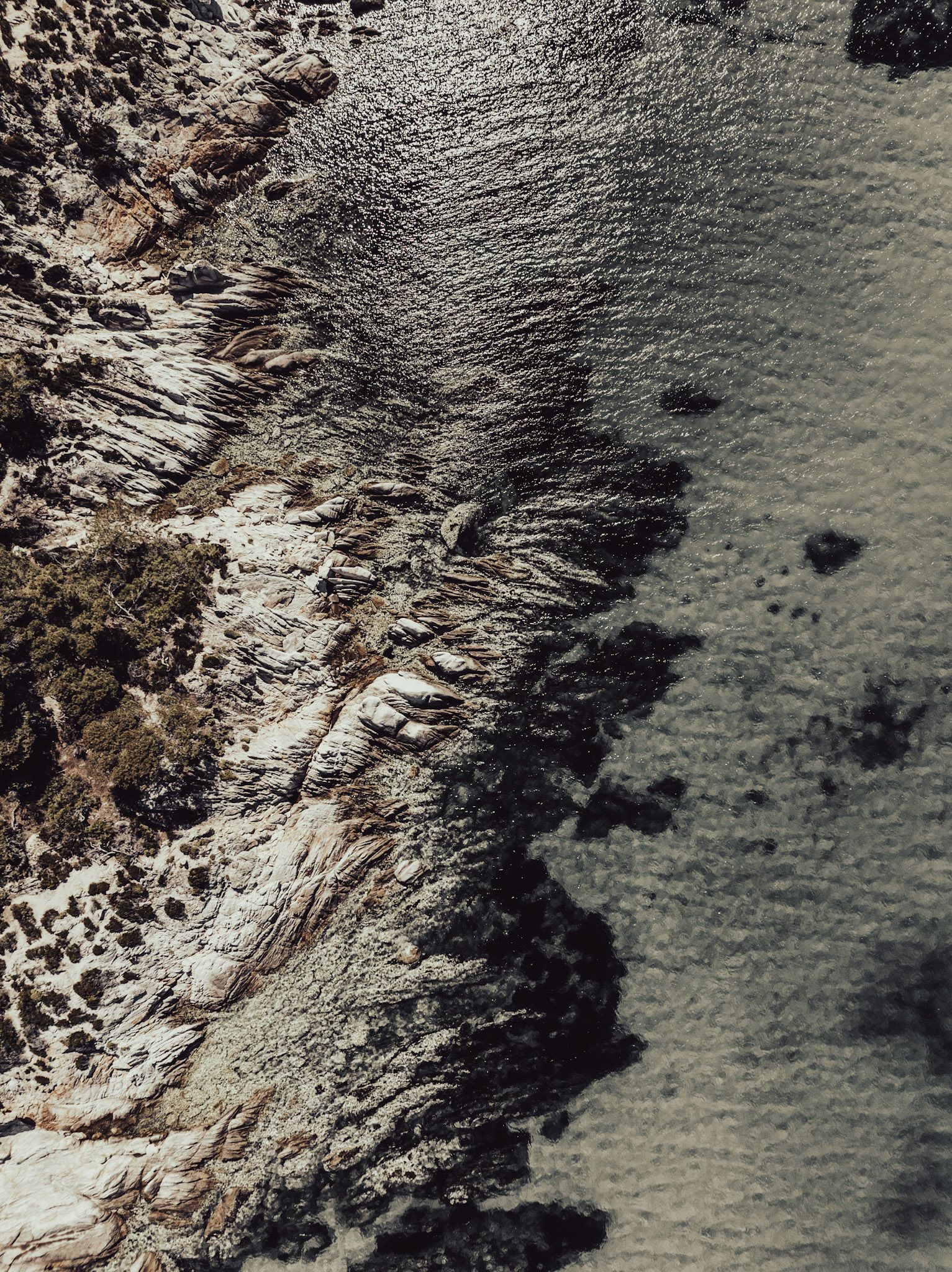 shore