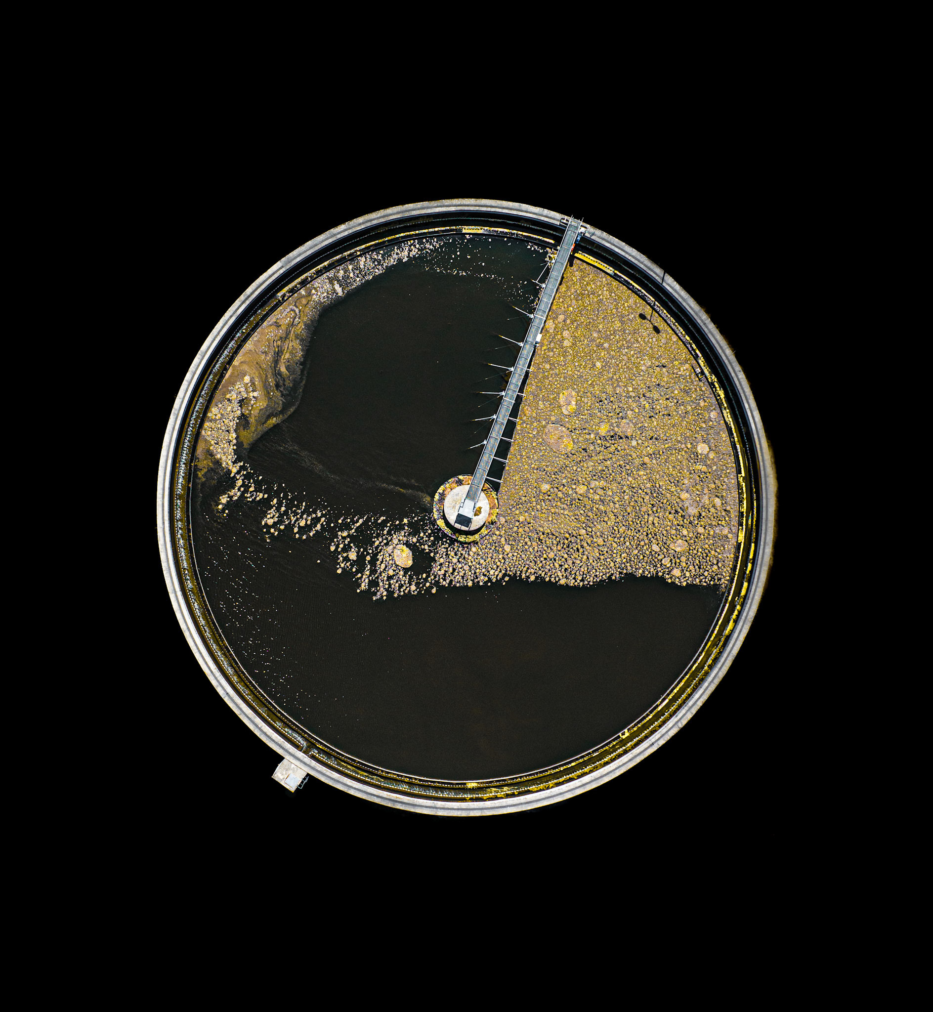 swarm -2-