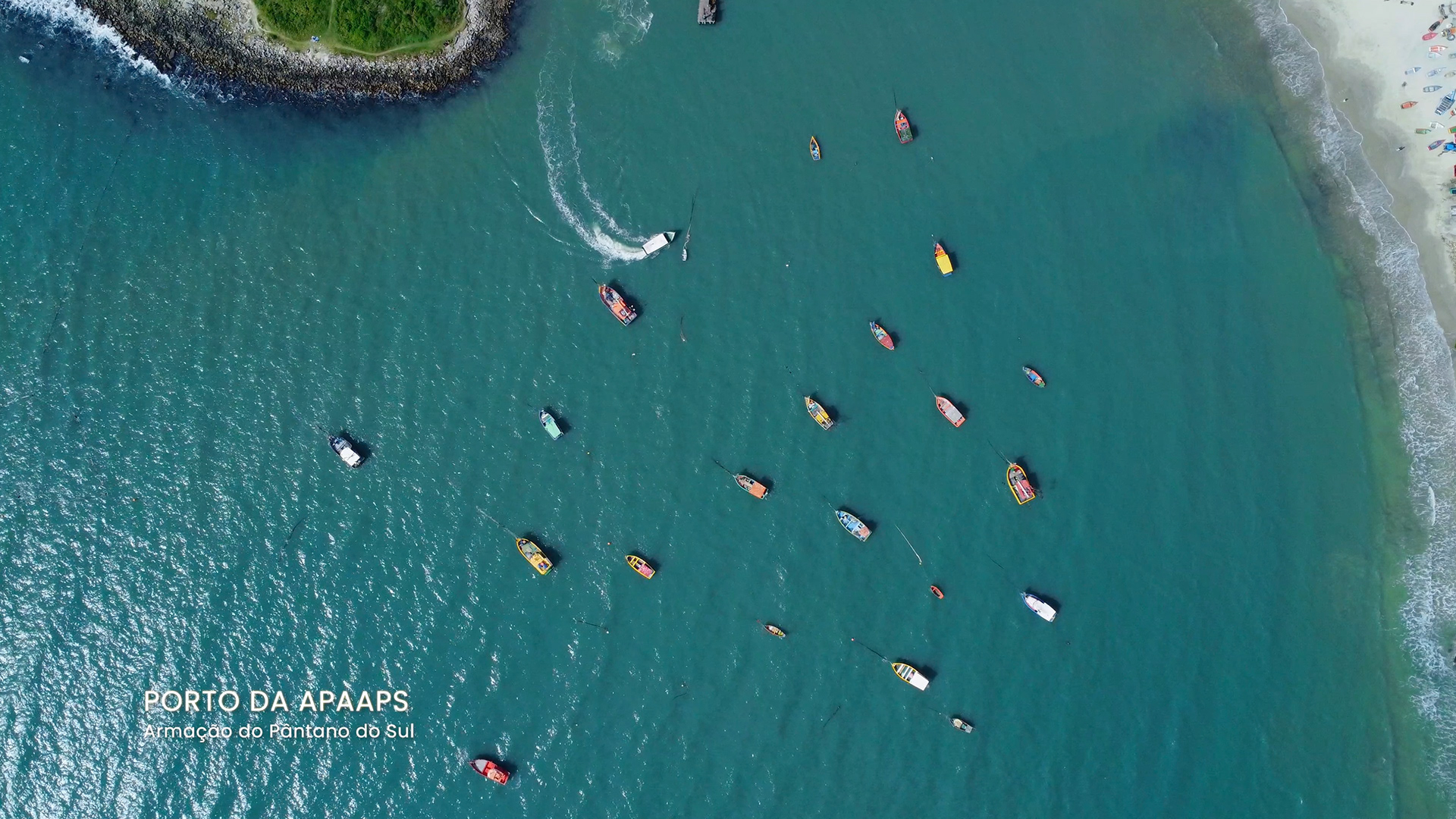 Ilha do Campeche - Águas Cristalinas