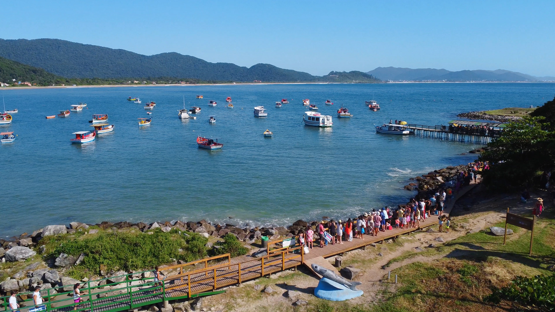 Ilha do Campeche - Mata Atlântica