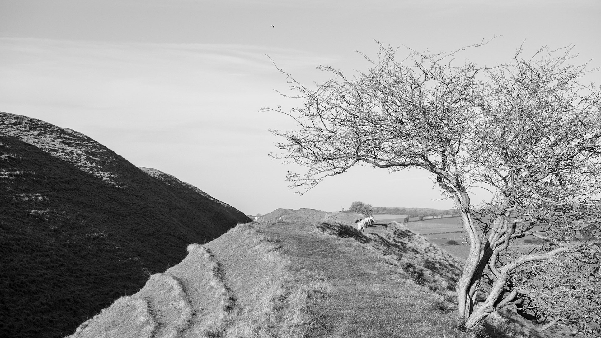 maiden Castle 14