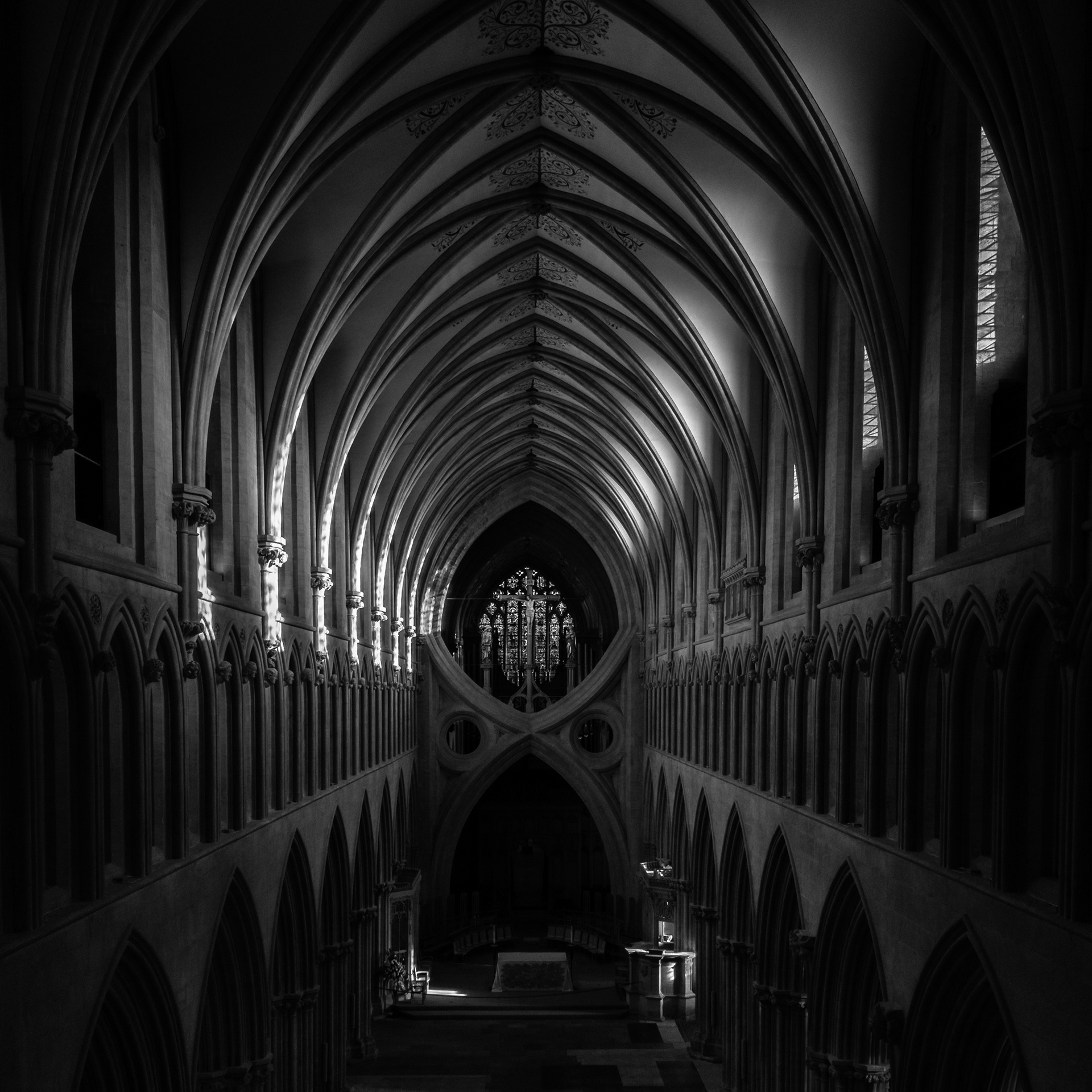 Contemplating Light