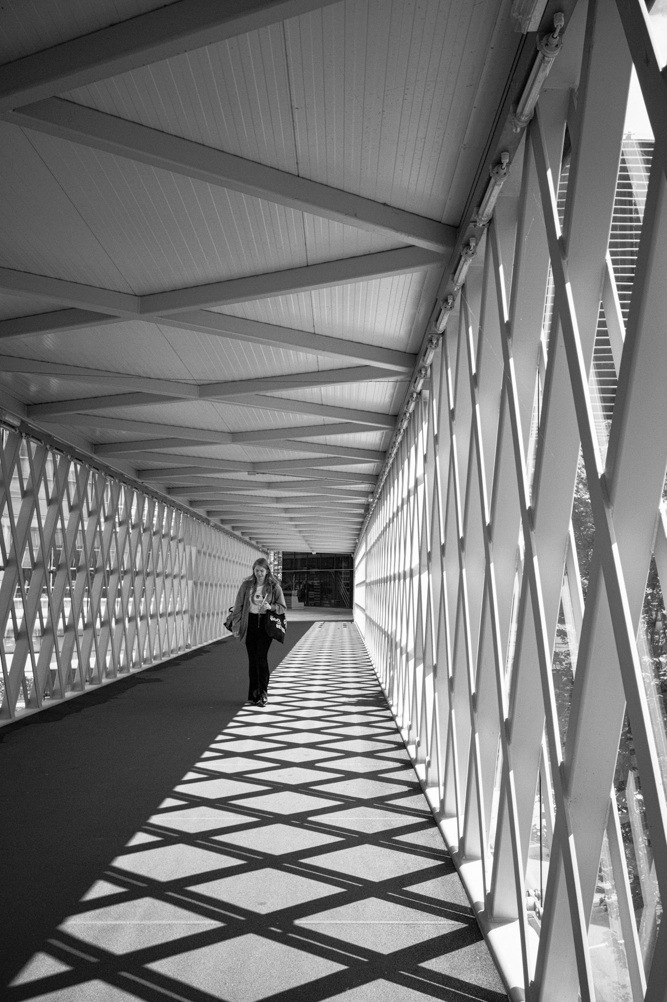 Lattice Walkway