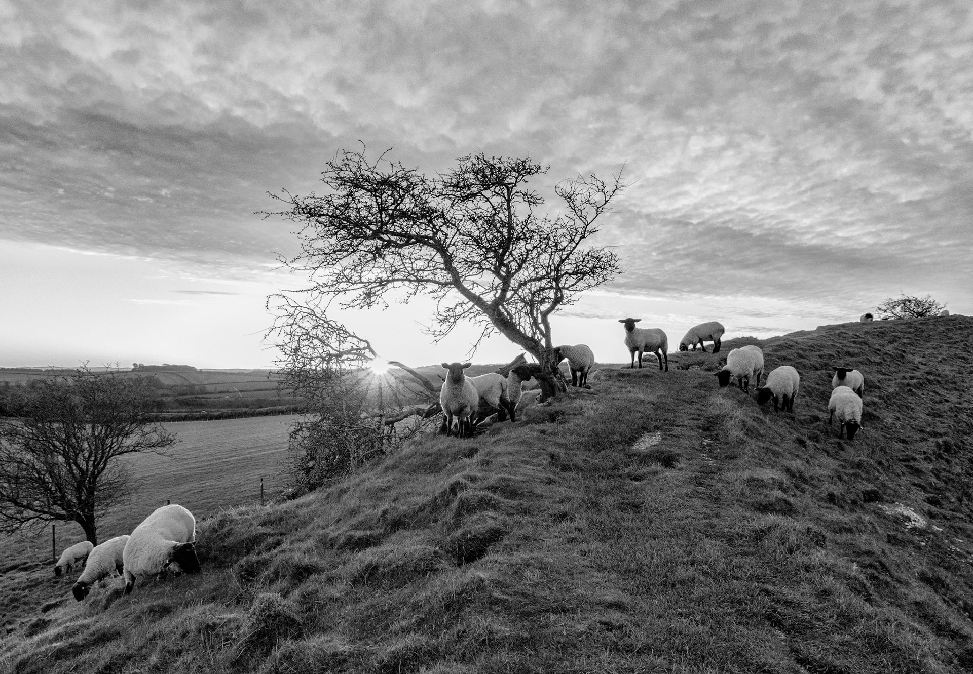 maiden Castle 32