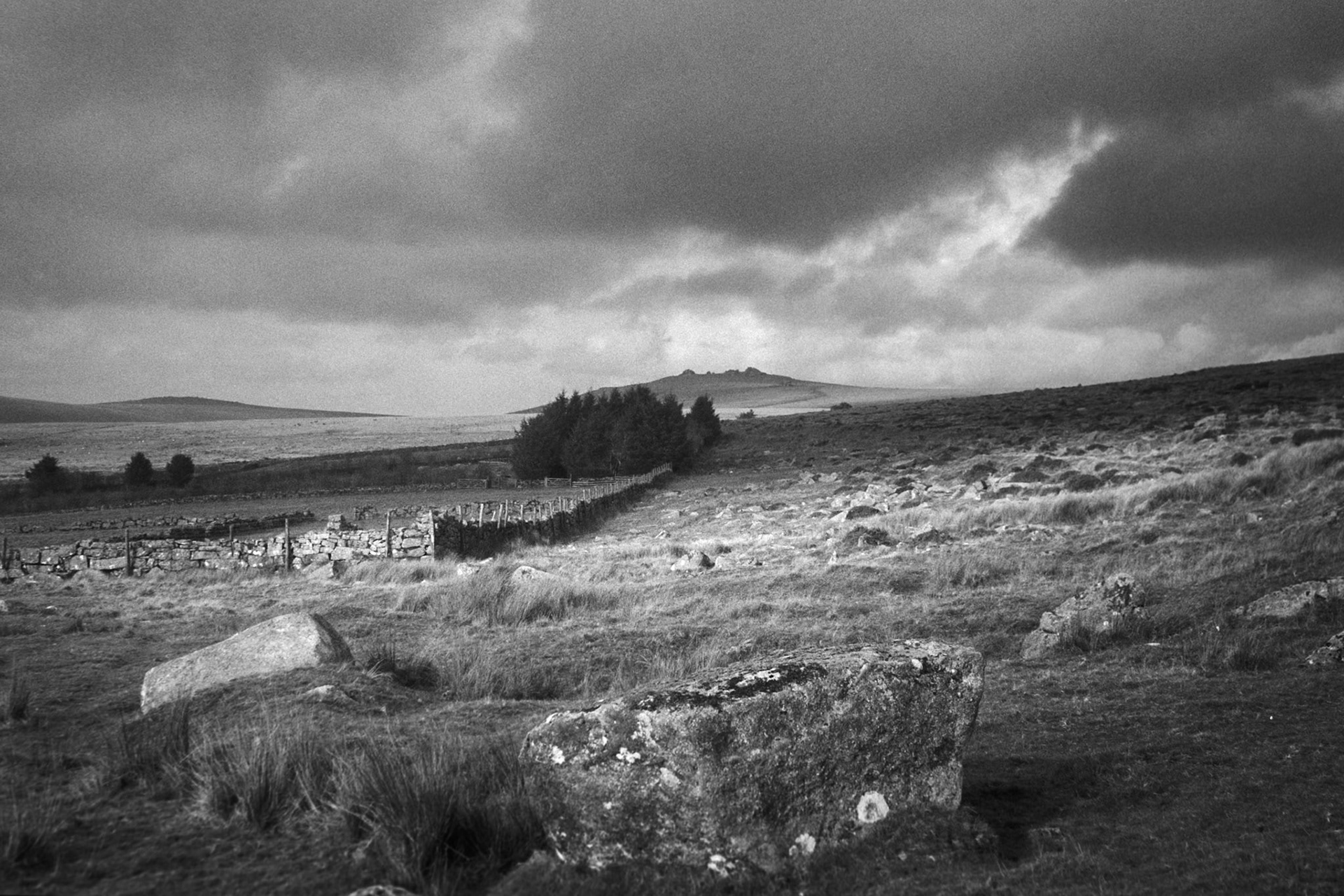 Between Foggintor and the Yellowmead Farm