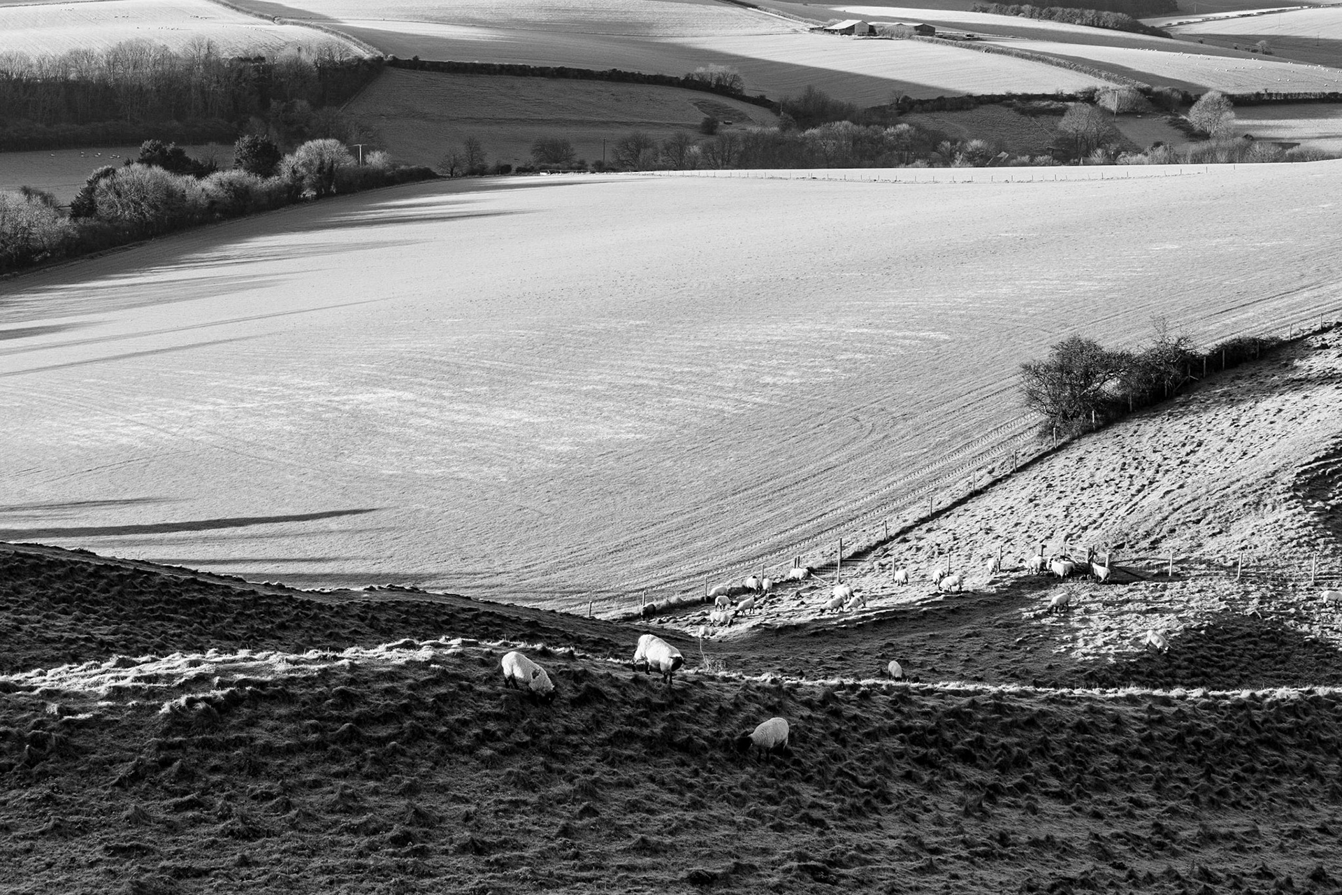 maiden Castle 36