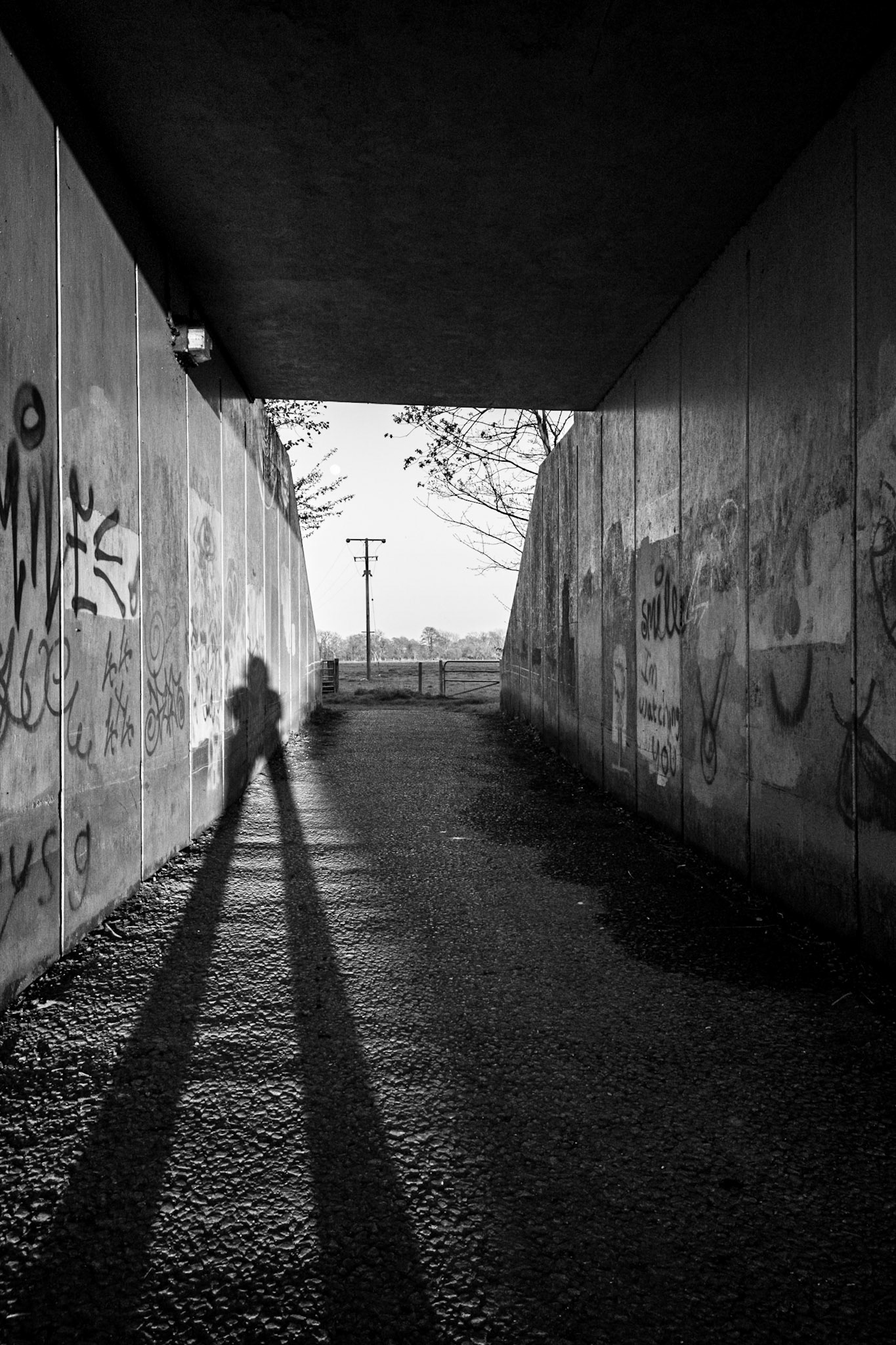 Tunnel Vision